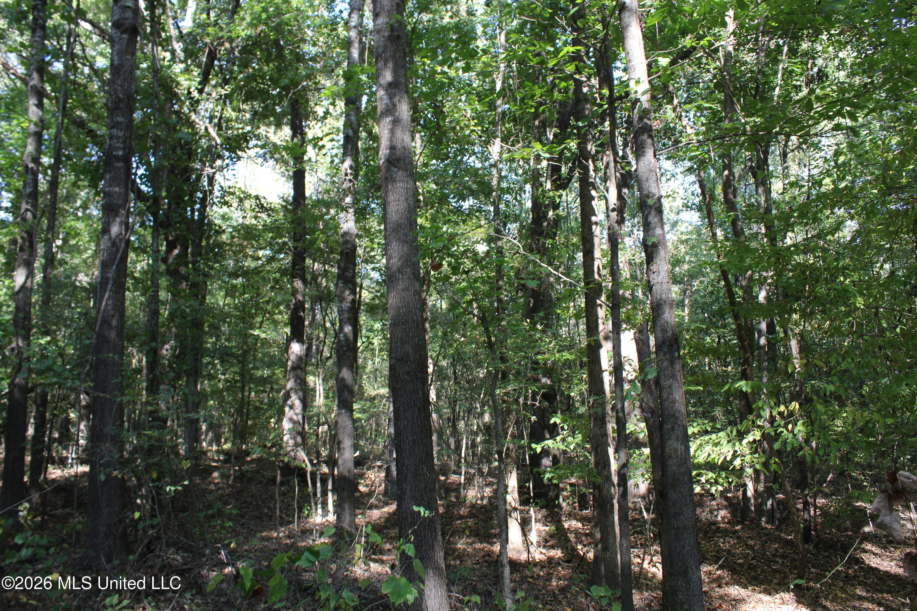 11 Star Landing Road Property Photo 8