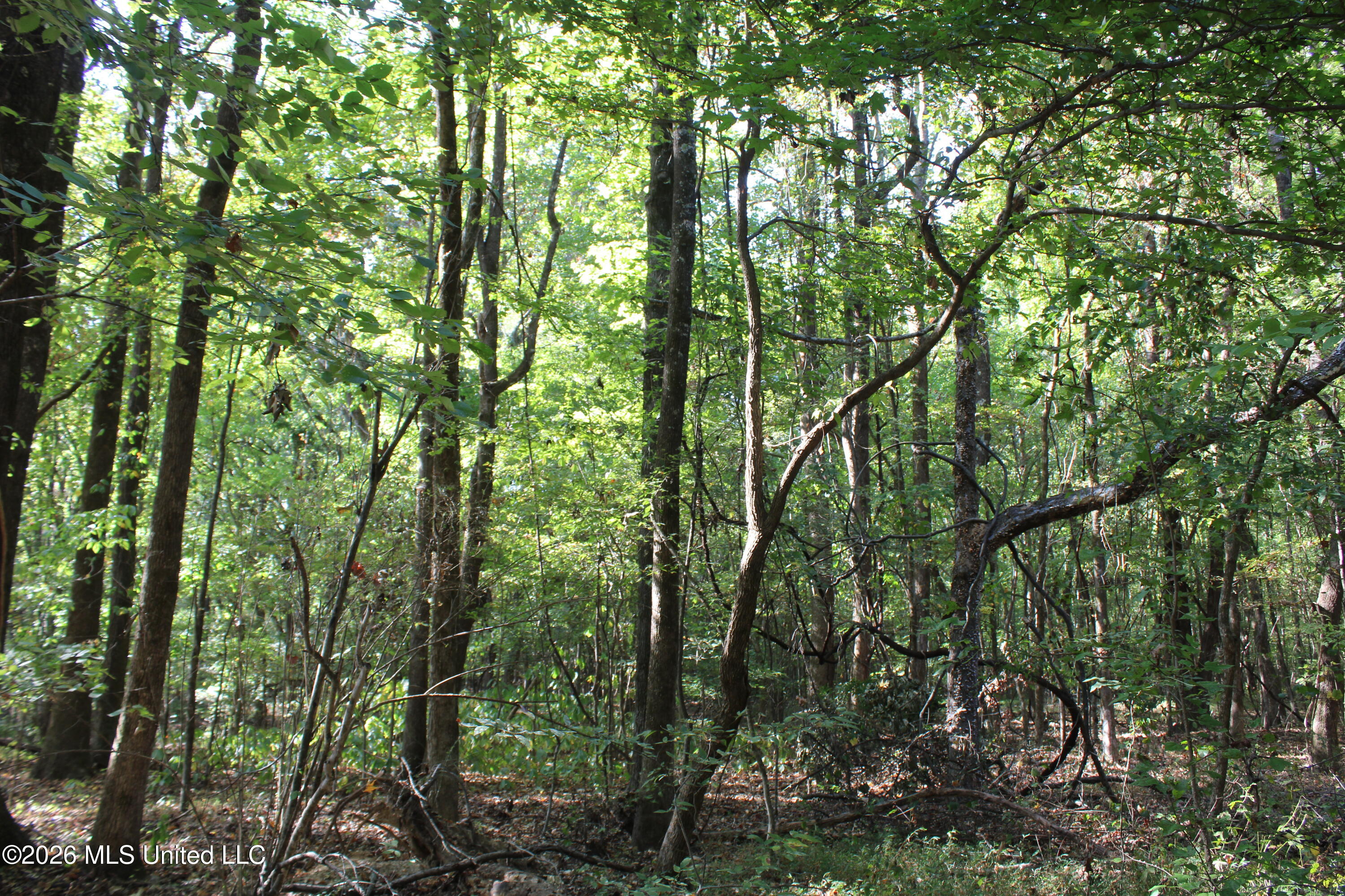 11 Star Landing Road Property Photo 10