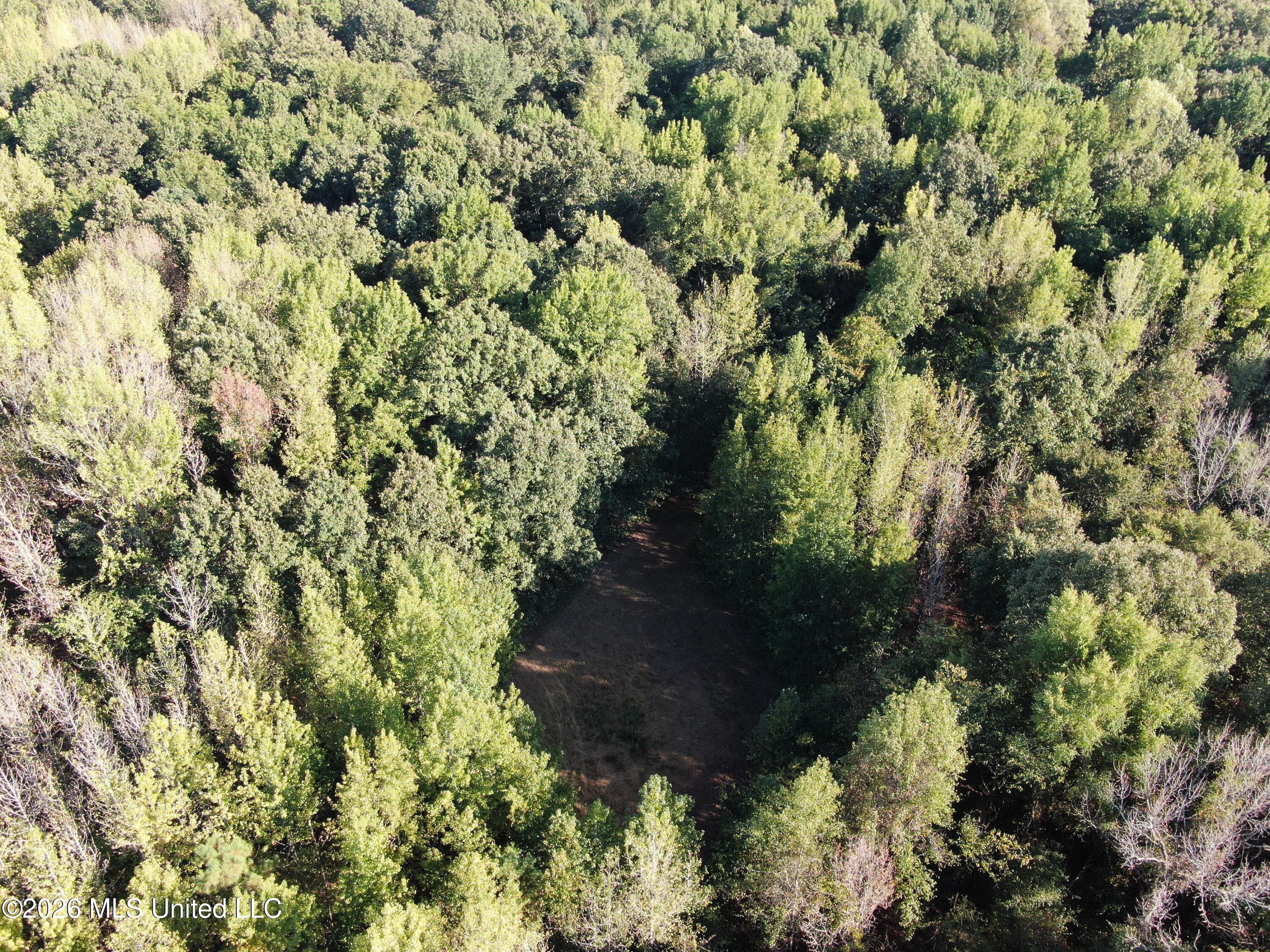 11 Star Landing Road Property Photo 12