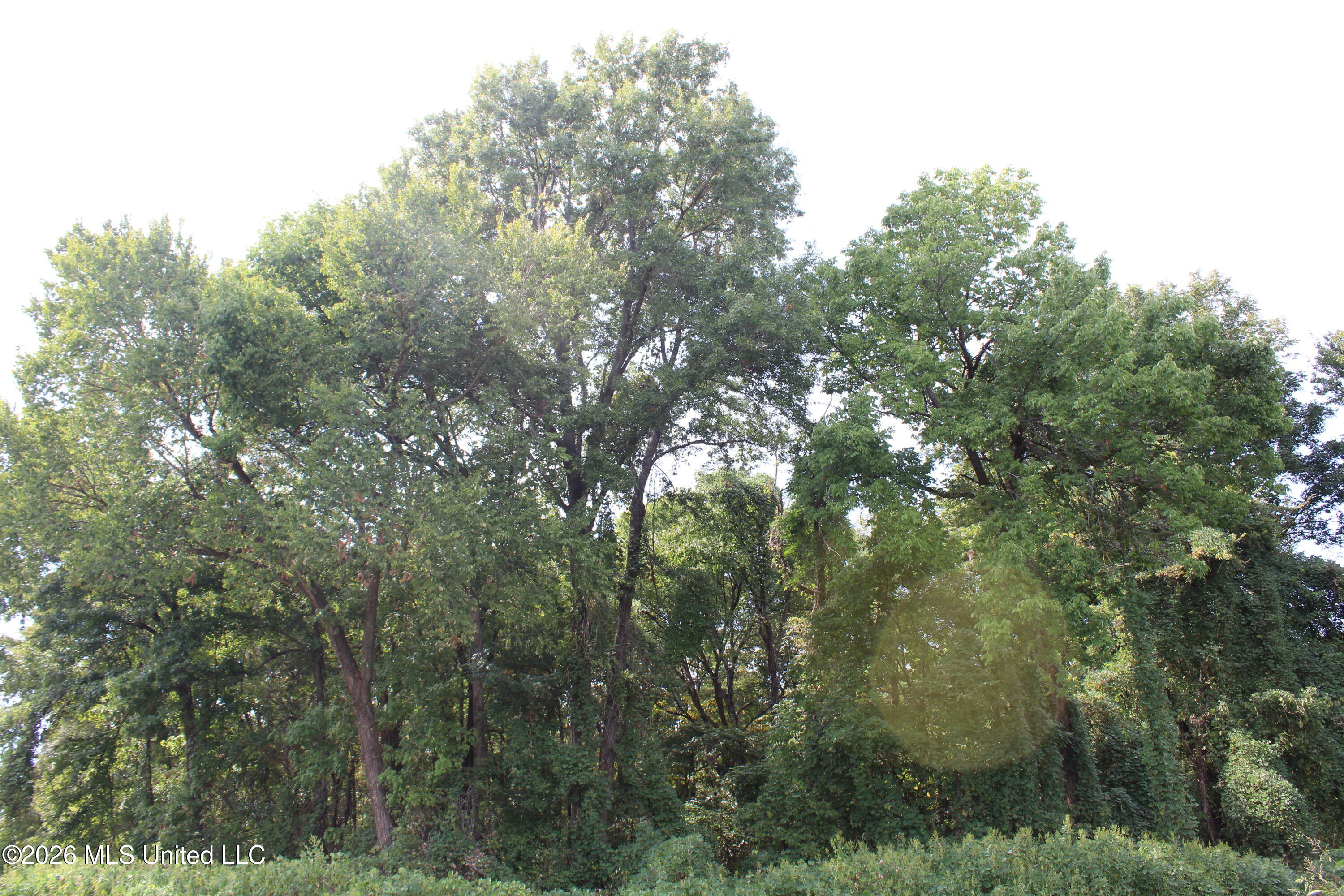 11 Star Landing Road Property Photo 18