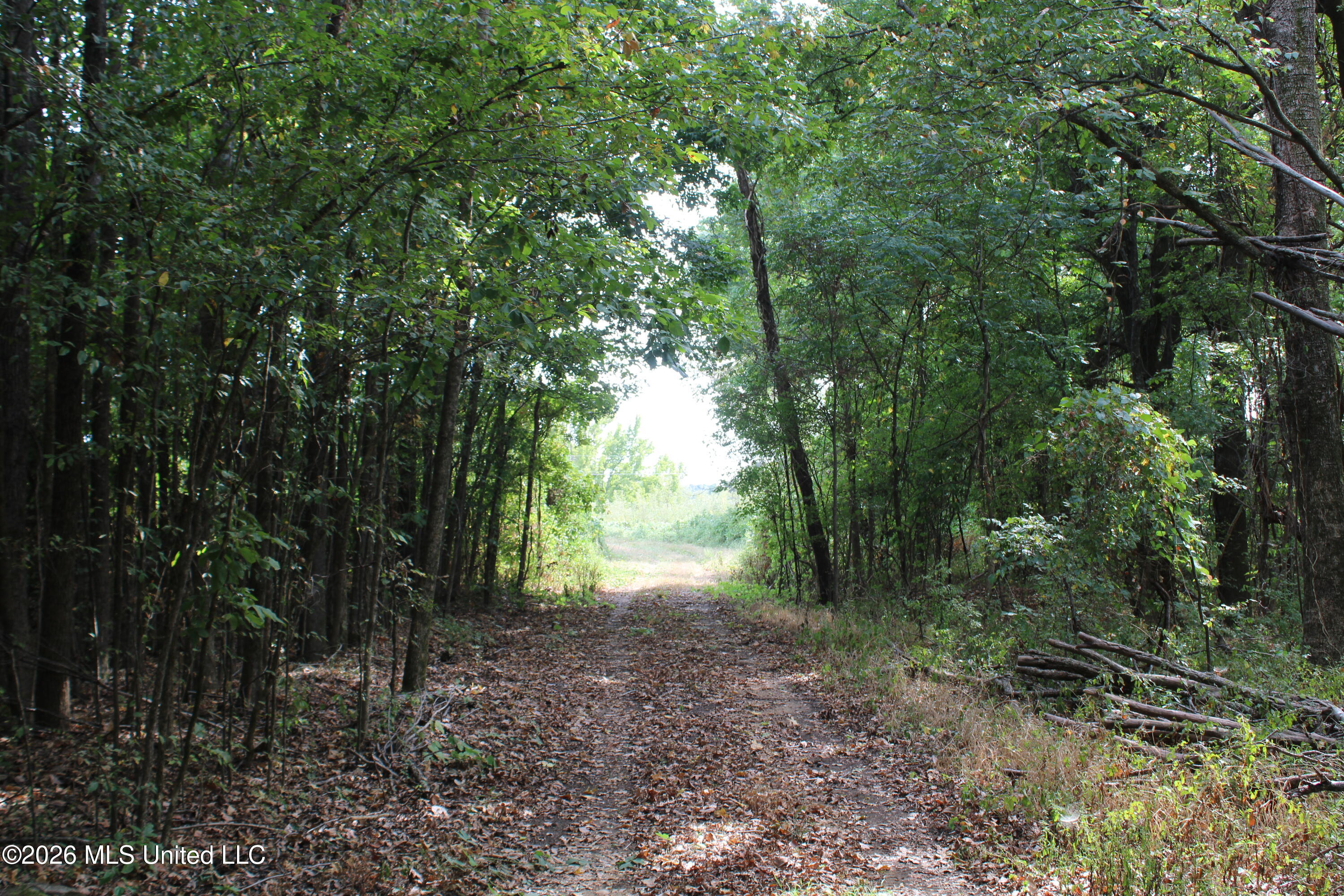11 Star Landing Road Property Photo 37