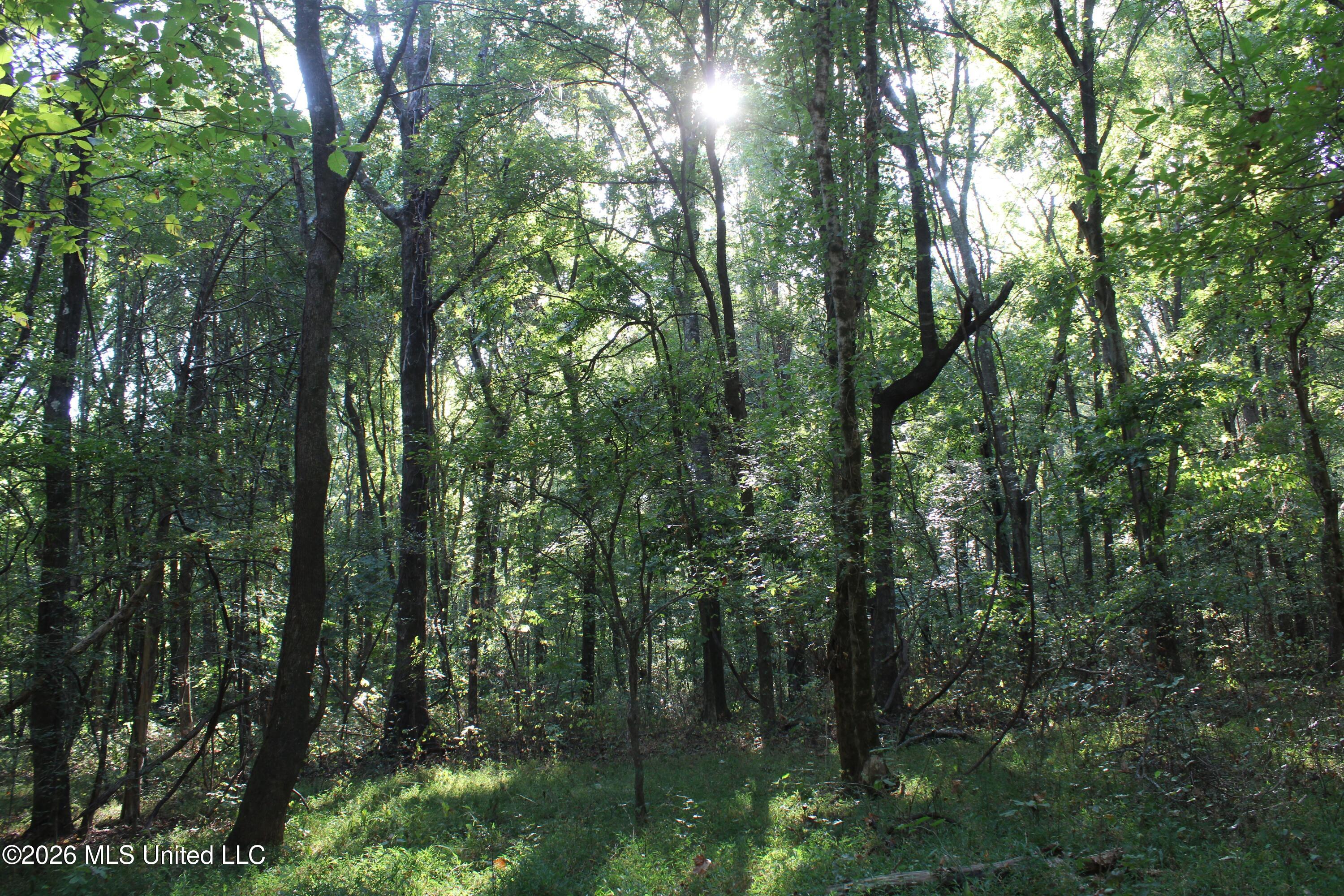 11 Star Landing Road Property Photo 63