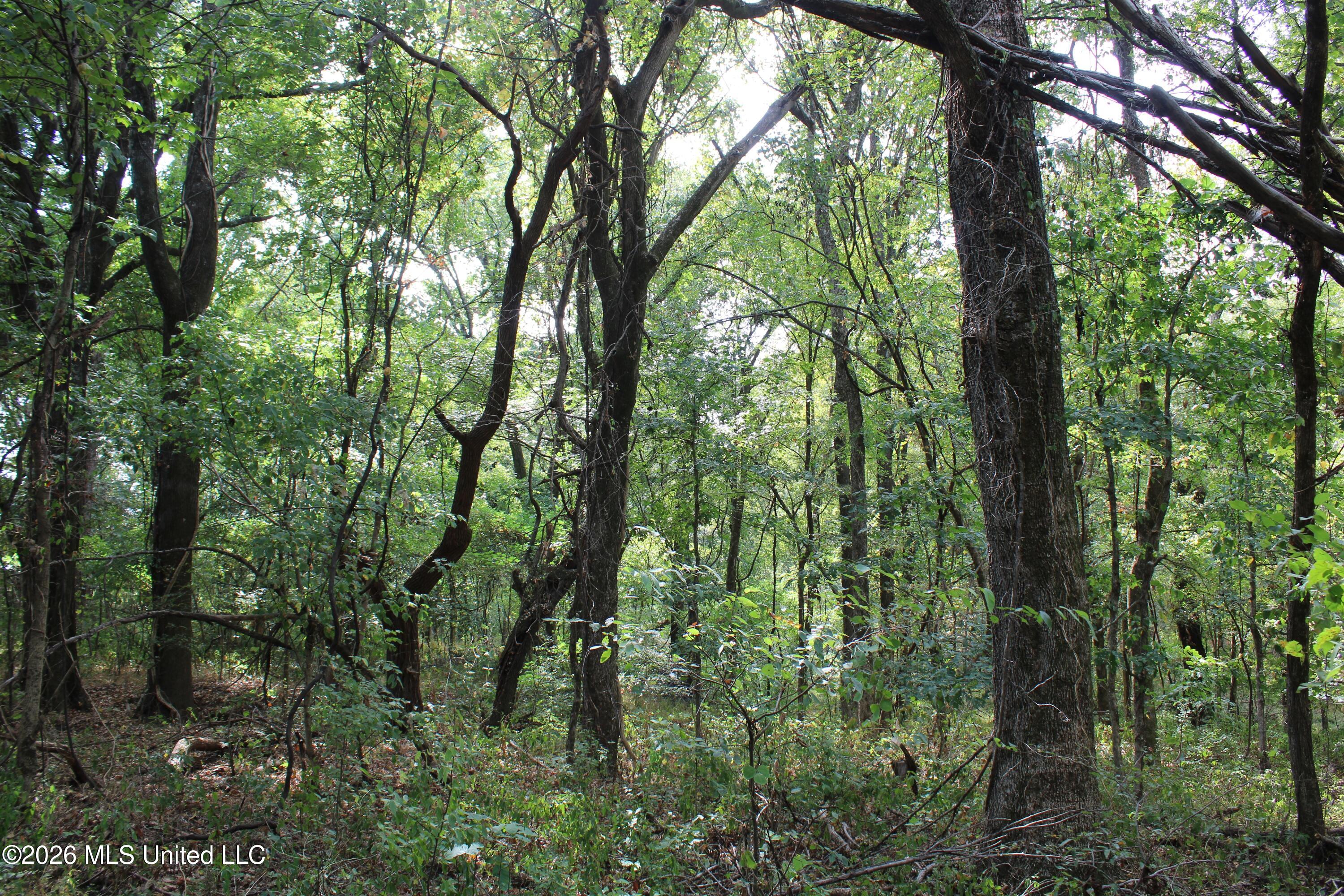 12 Star Landing Road Property Photo 4