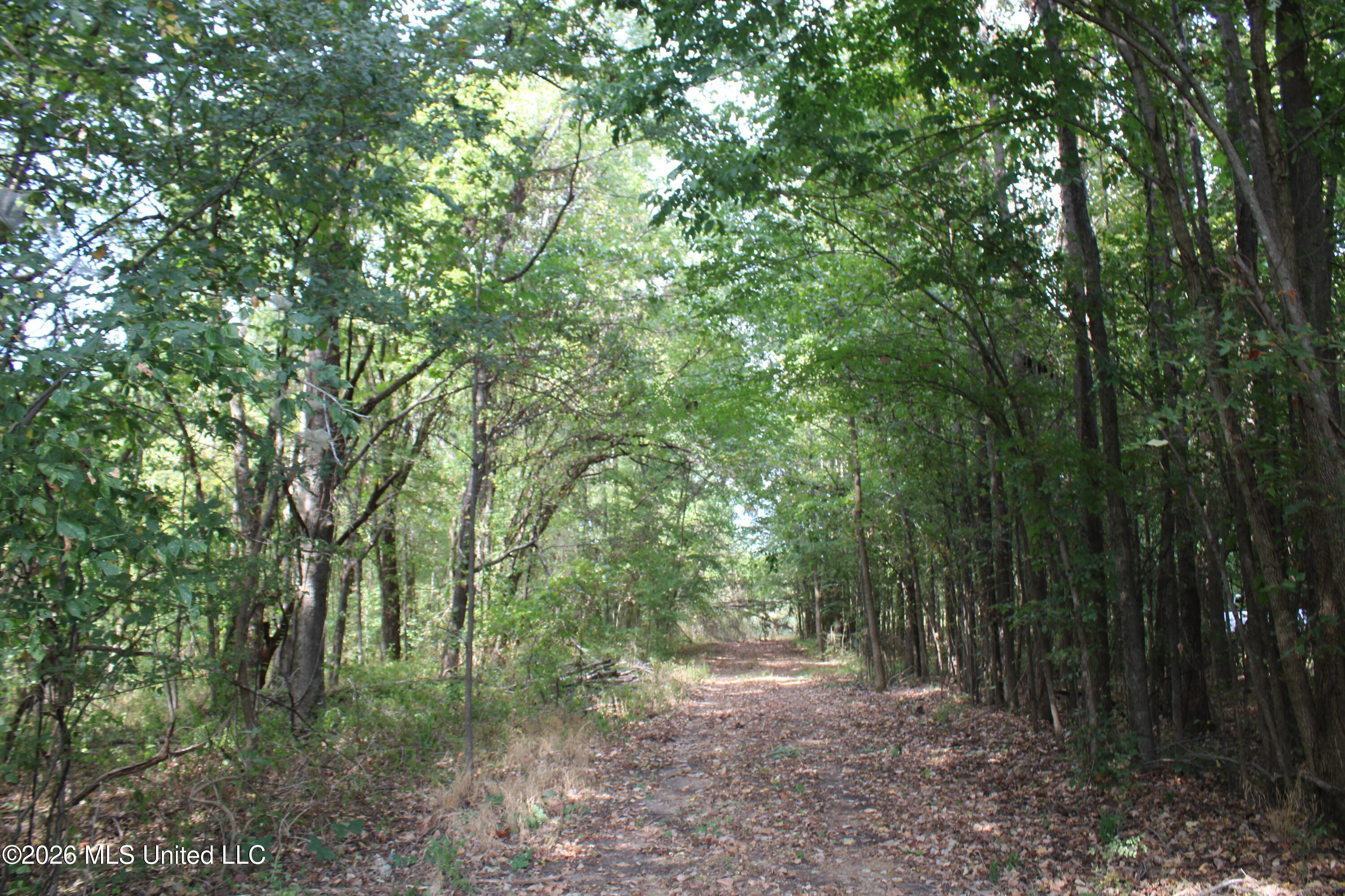 12 Star Landing Road Property Photo 7