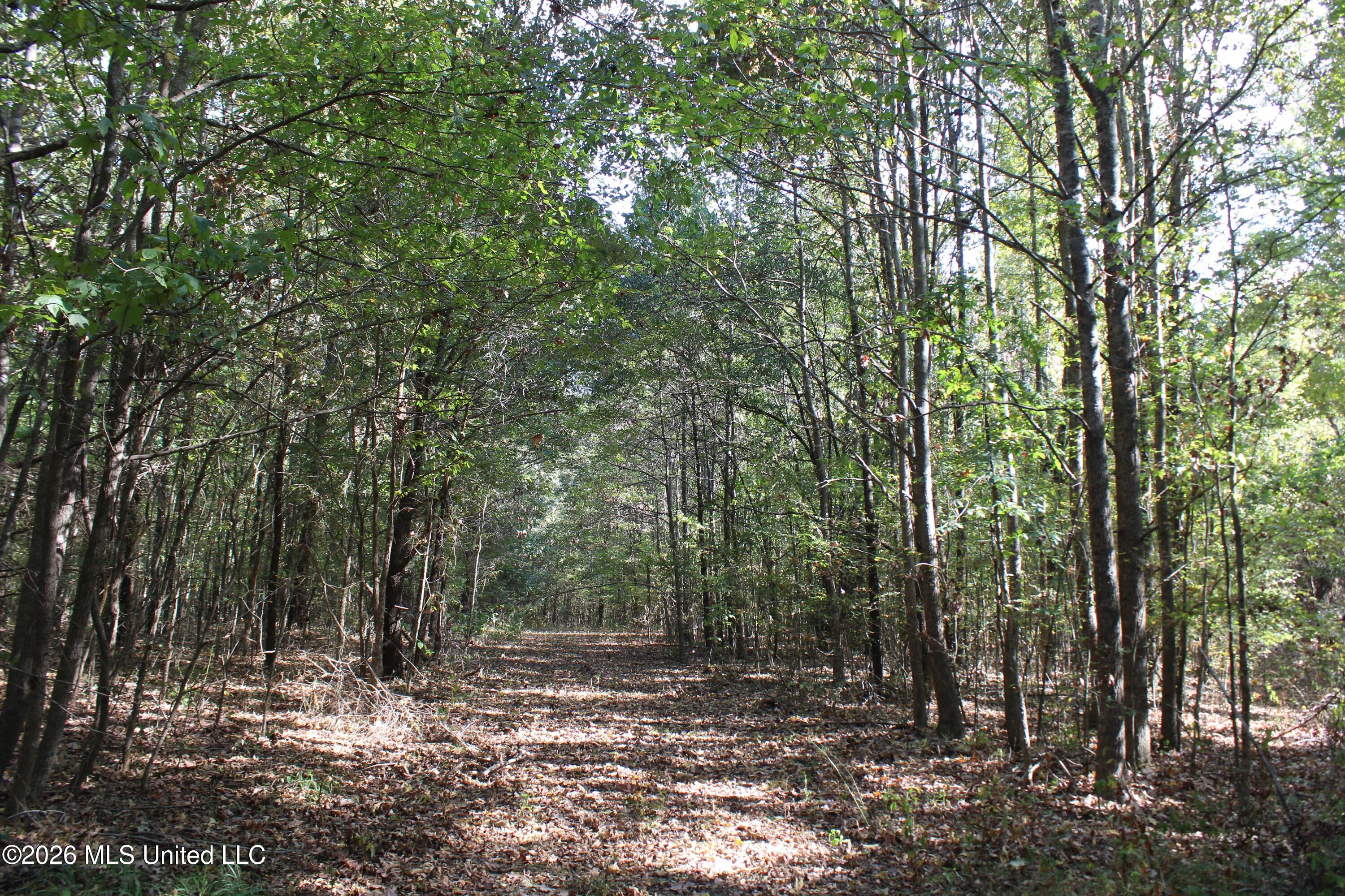 12 Star Landing Road Property Photo 26
