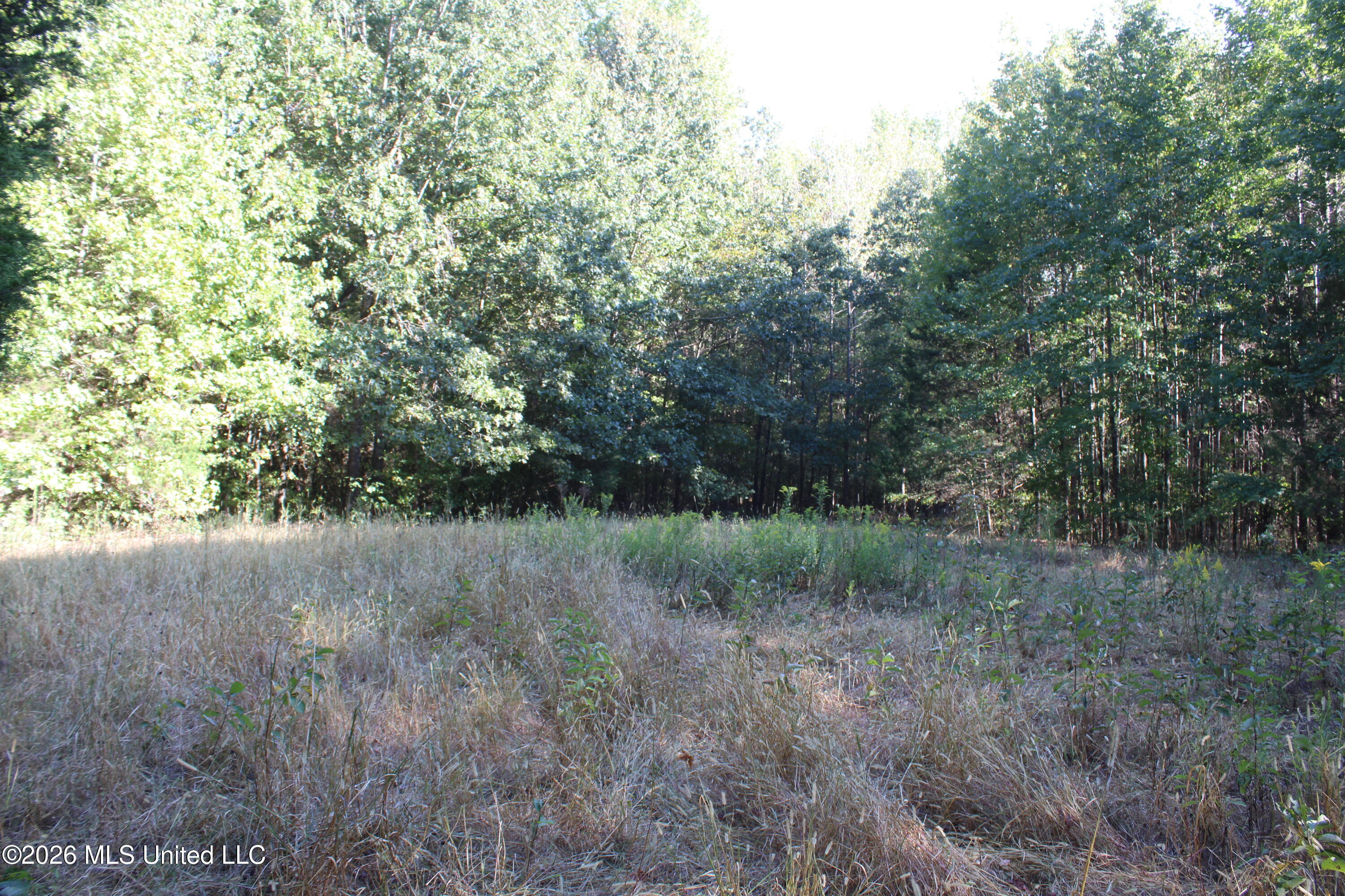 12 Star Landing Road Property Photo 37