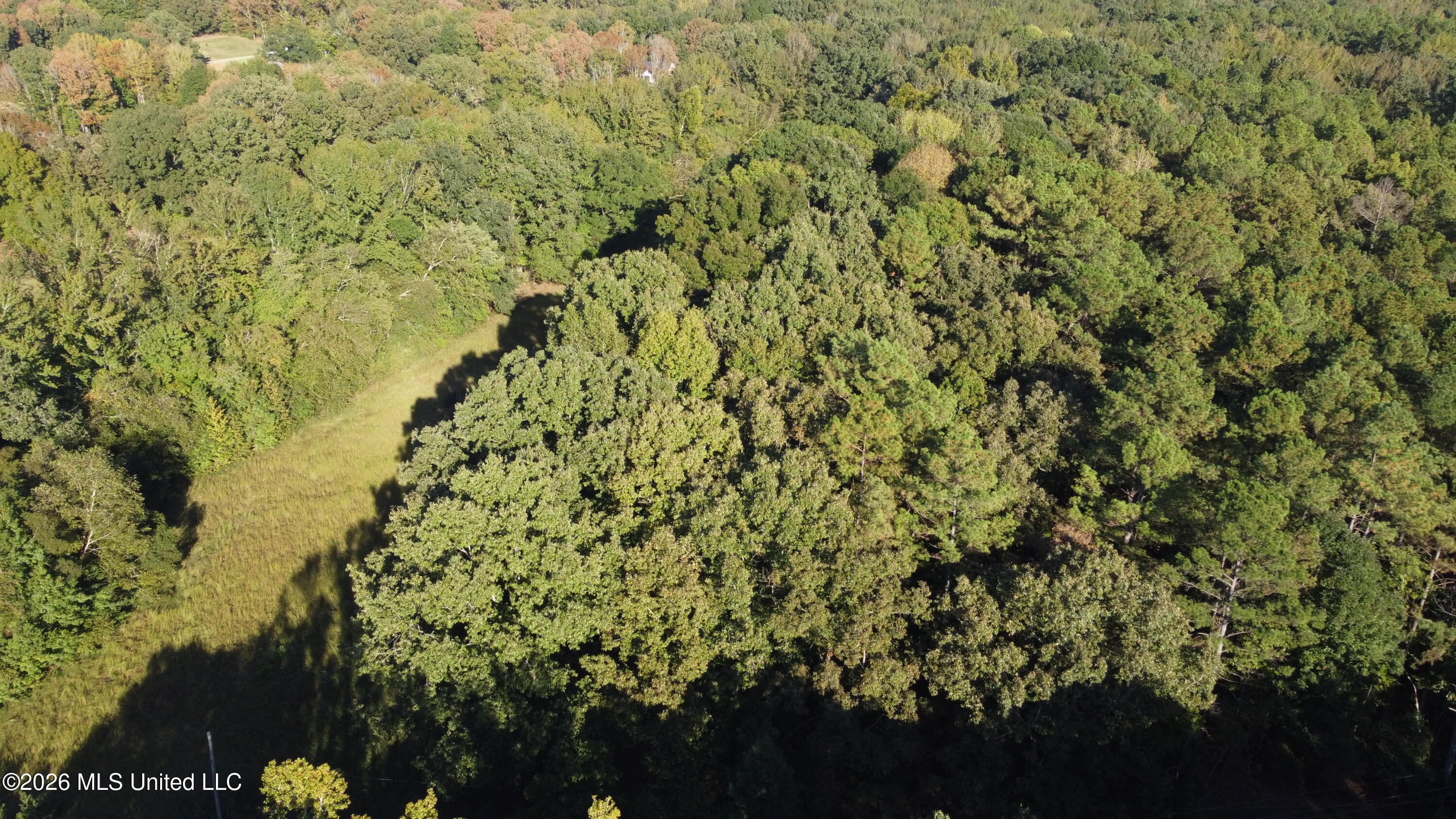 N Red Banks Road Property Photo 2