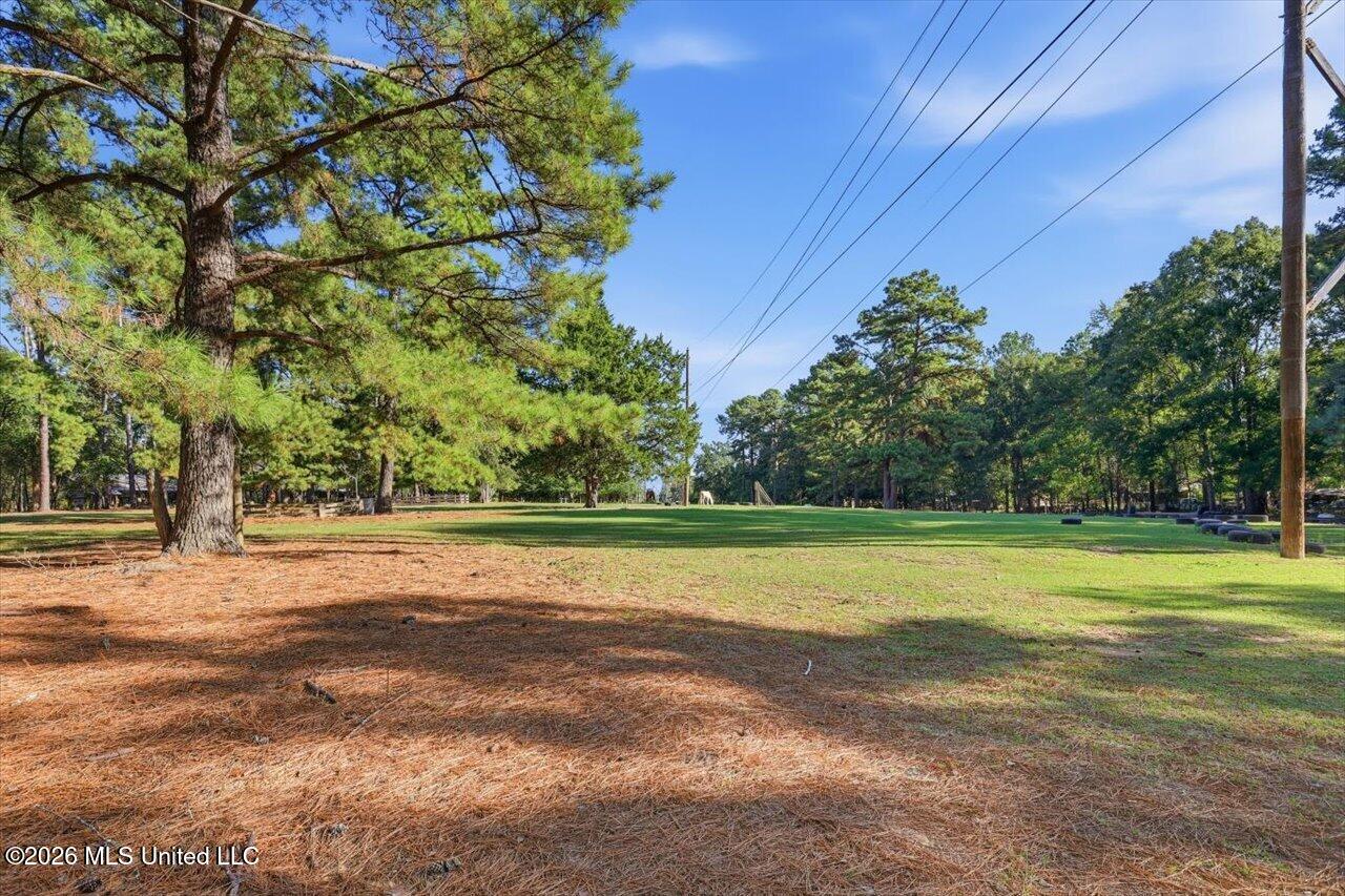 154 Christmas Lane Property Photo 72