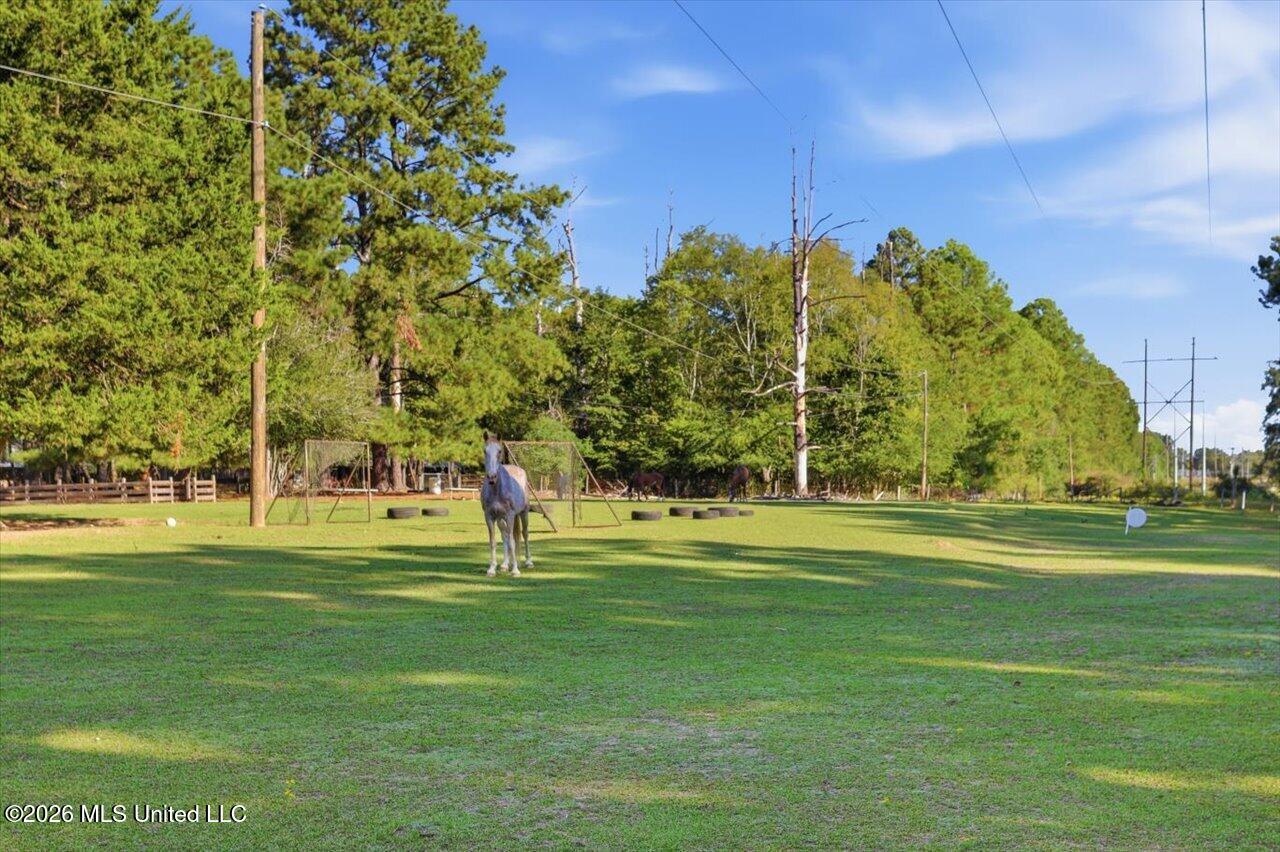 154 Christmas Lane Property Photo 73