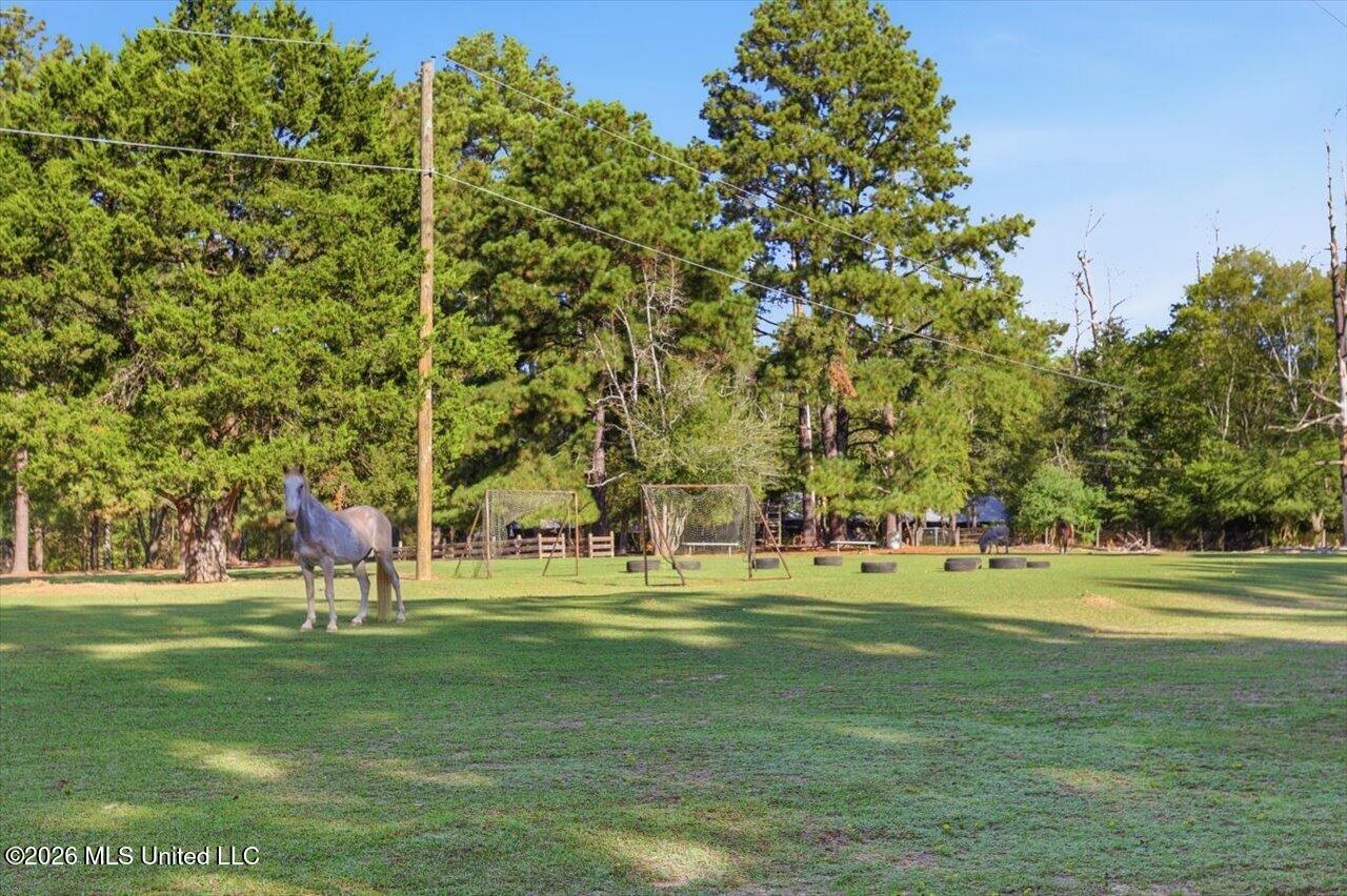 154 Christmas Lane Property Photo 74