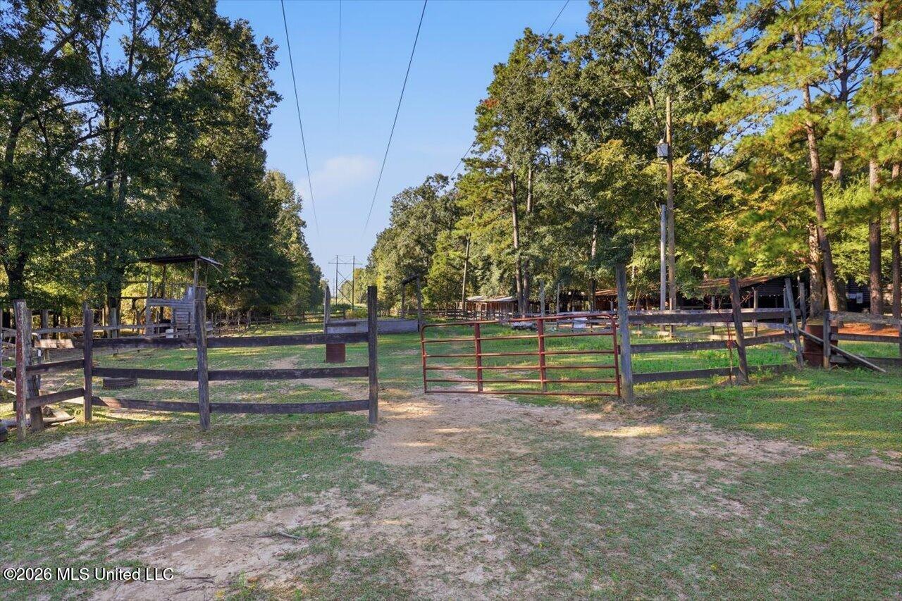154 Christmas Lane Property Photo 75