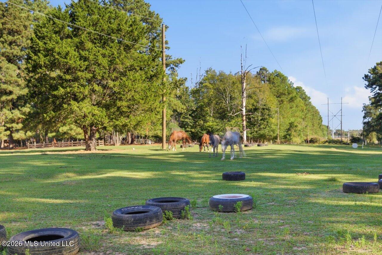 154 Christmas Lane Property Photo 76