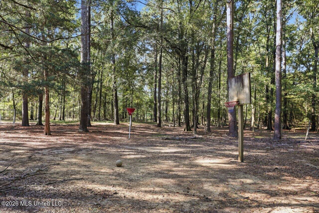 154 Christmas Lane Property Photo 91