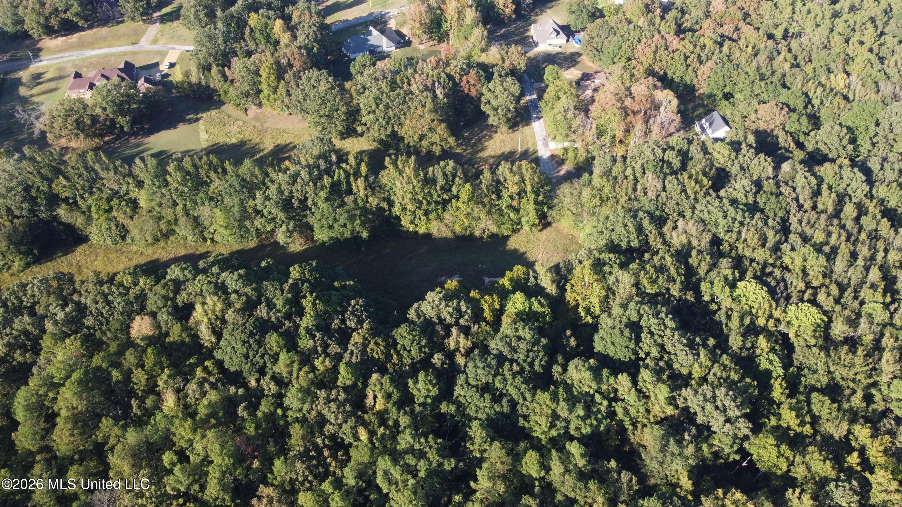 Scattered Oaks Cove Property Photo 2