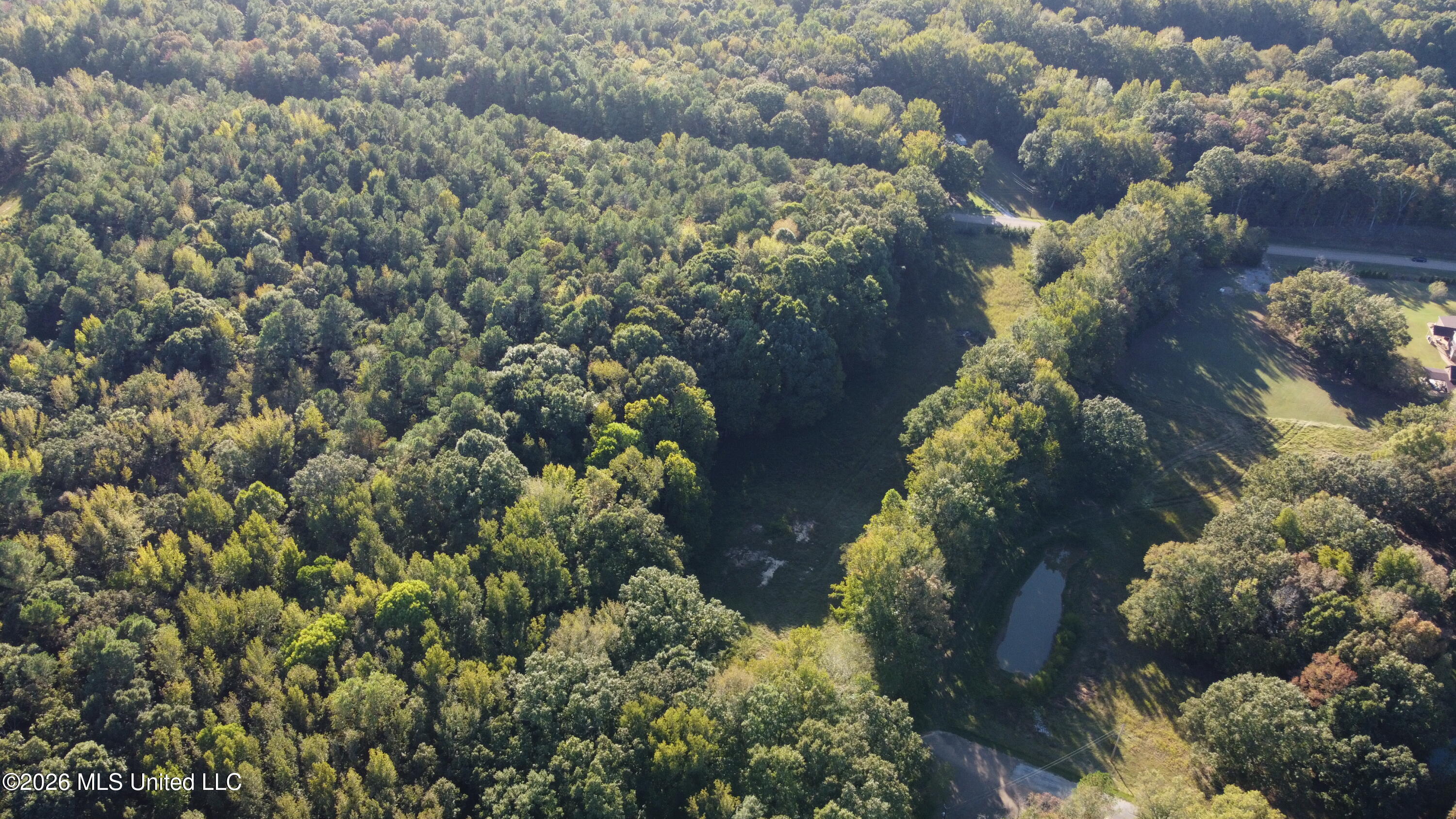 Scattered Oaks Cove Property Photo 3