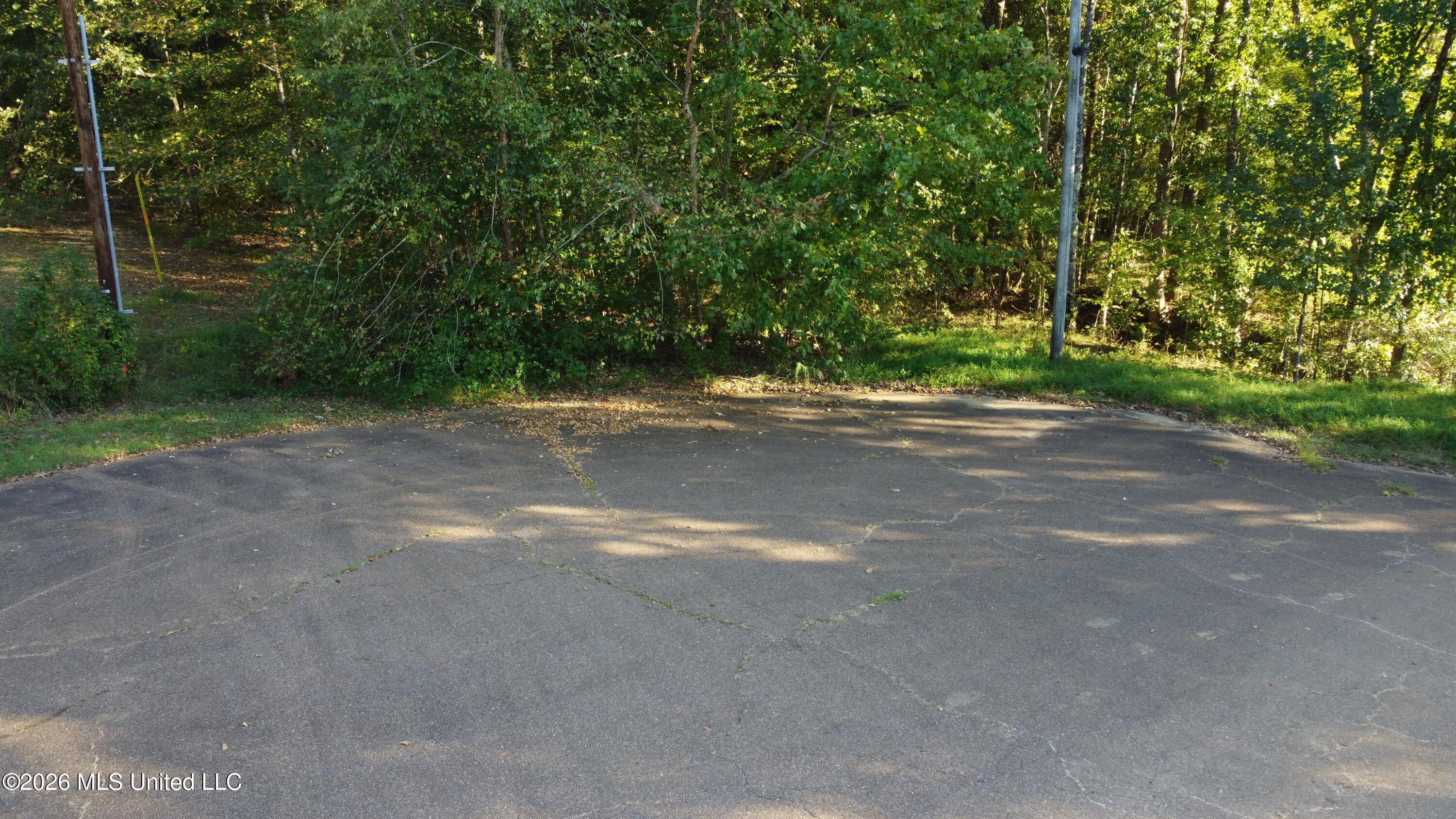Scattered Oaks Cove Property Photo 4