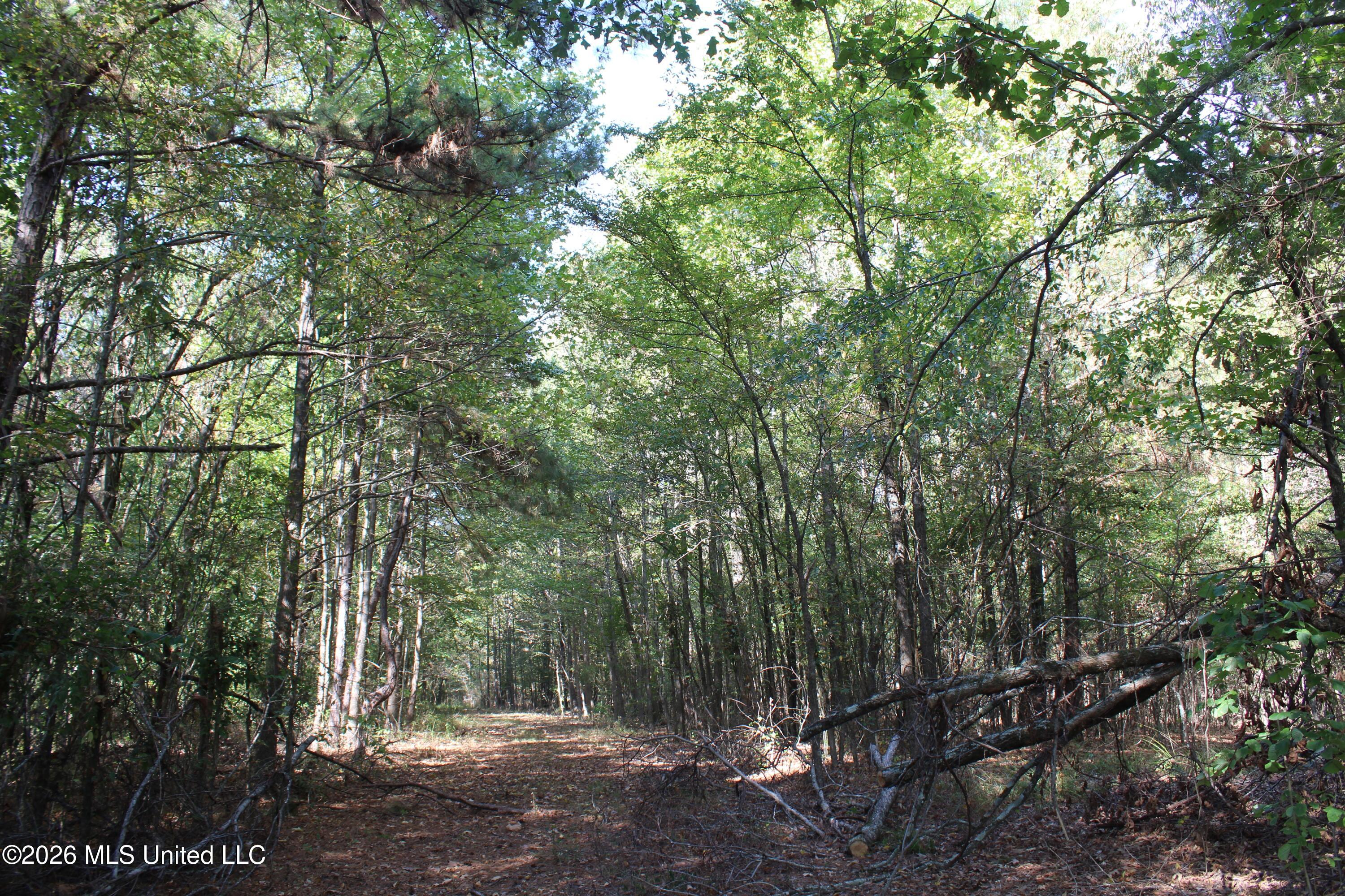 13 Star Landing Road Property Photo 20