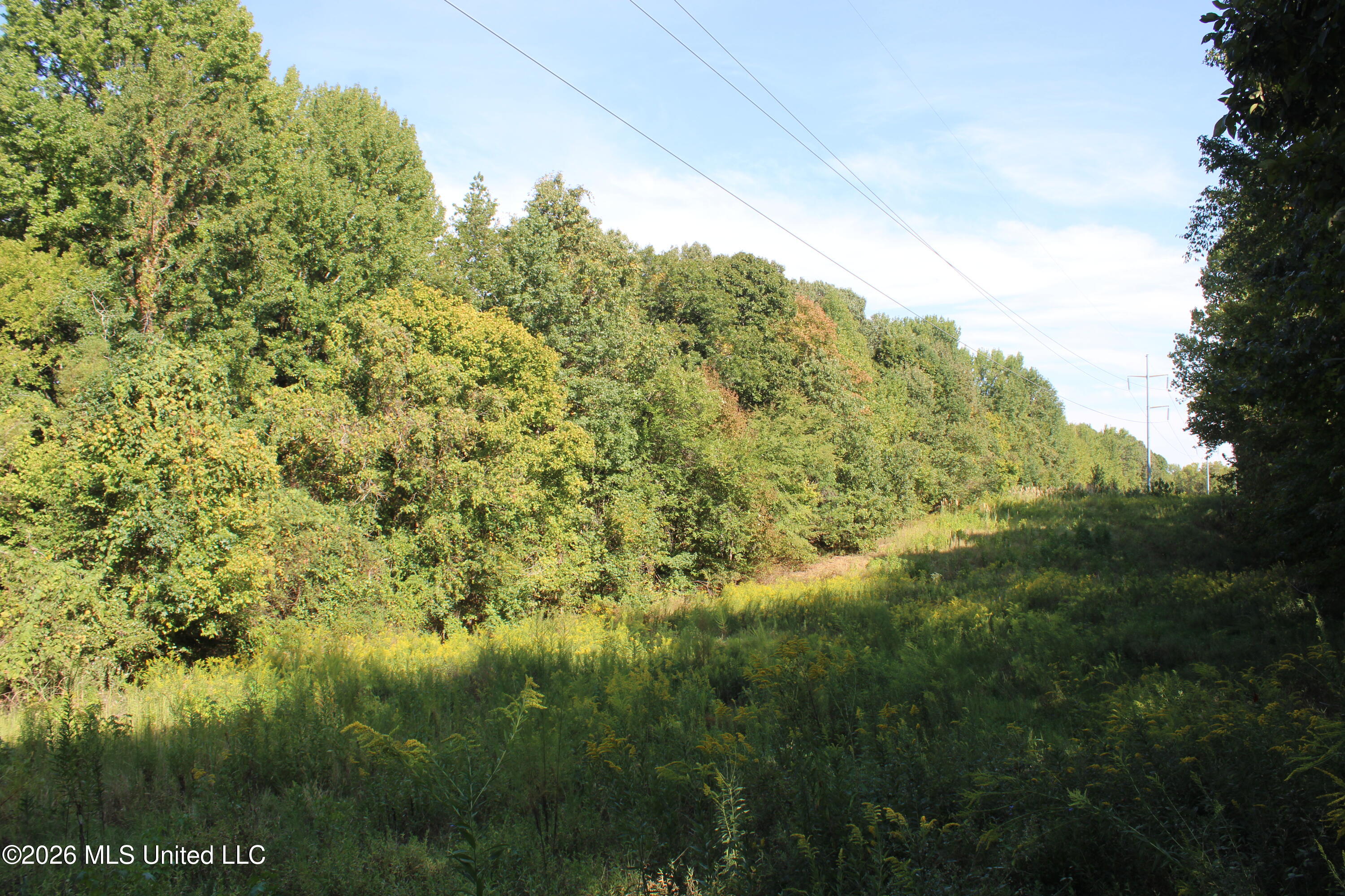 13 Star Landing Road Property Photo 23