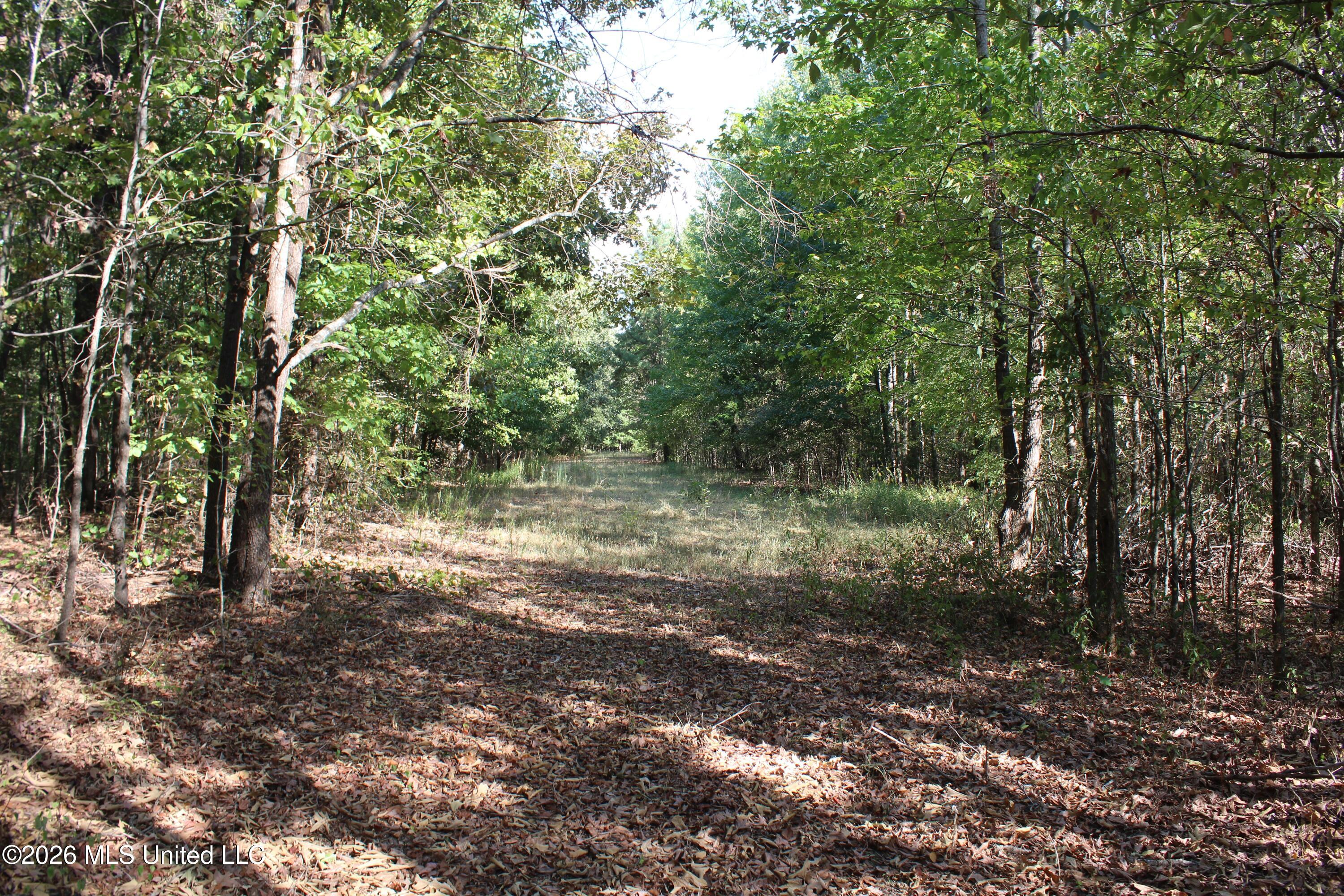 13 Star Landing Road Property Photo 30