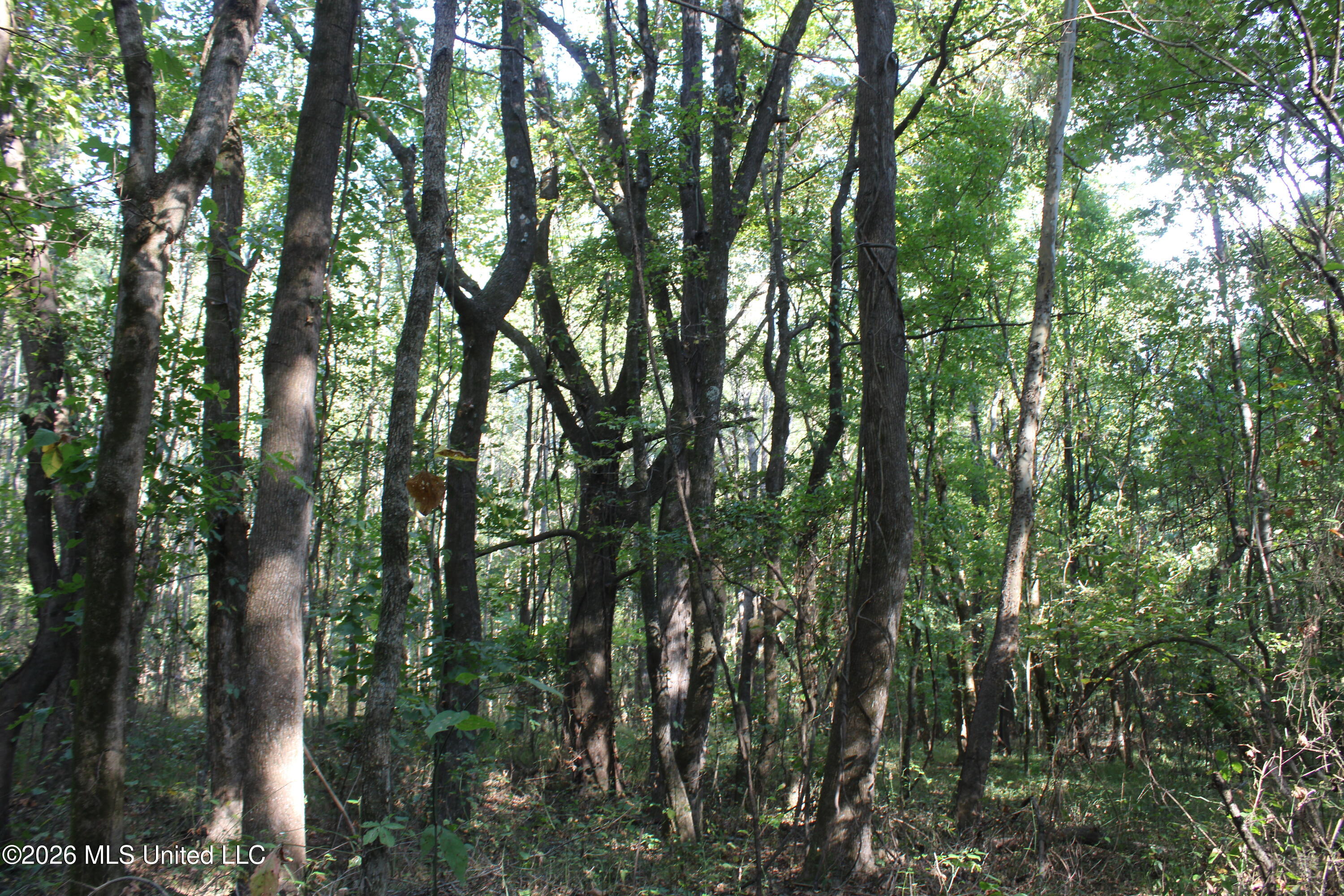 13 Star Landing Road Property Photo 40