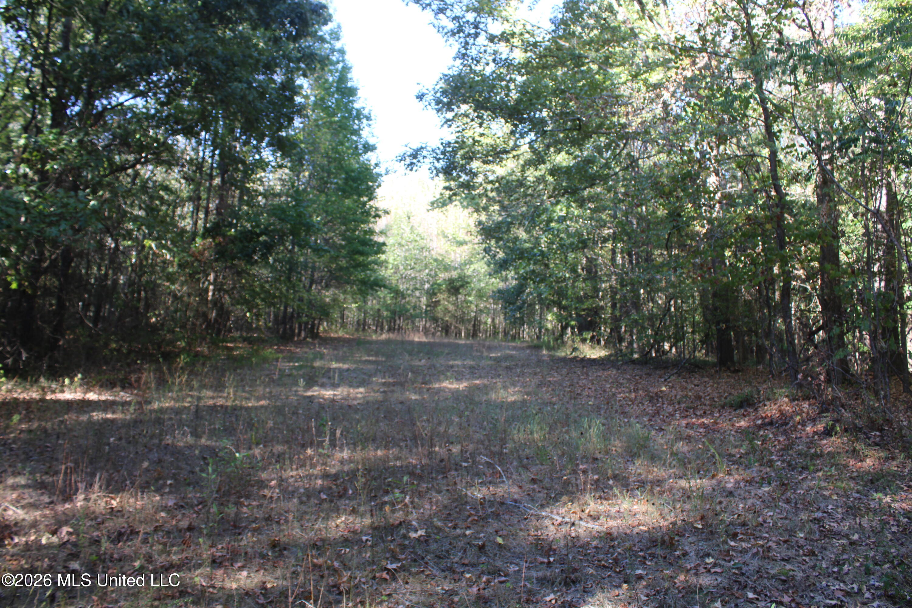 13 Star Landing Road Property Photo 41