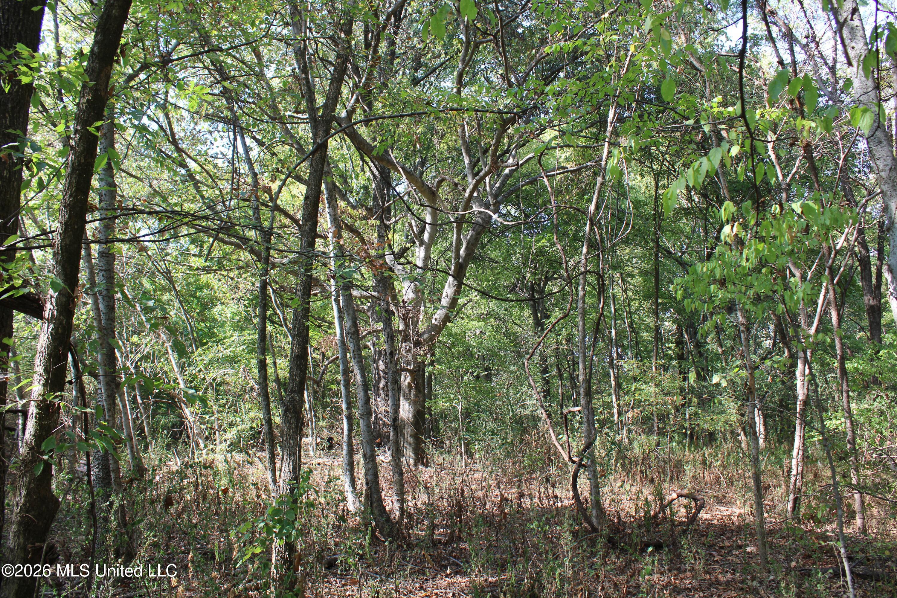 17 Star Landing Road Property Photo 31