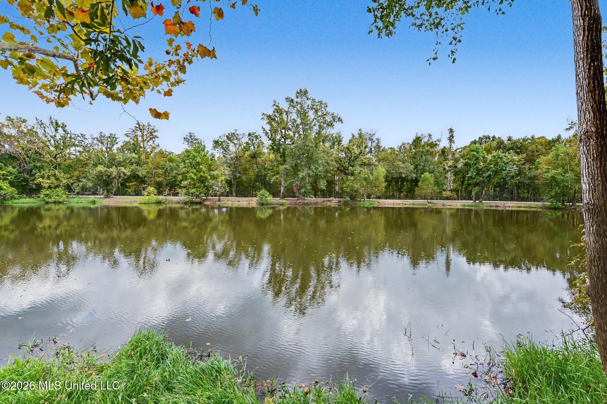154 Deer Lane Property Photo 4
