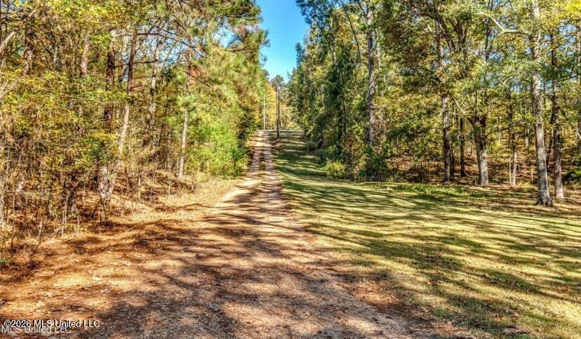 3454 Timber Creek Drive Property Photo 35