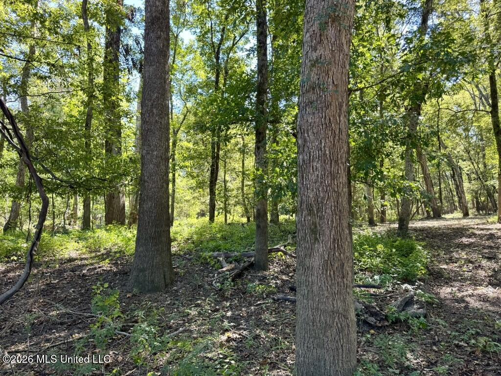 0079 Highway 16 Property Photo 7
