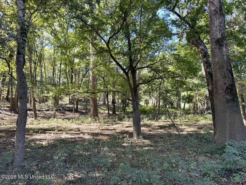 0079 Highway 16 Property Photo 11