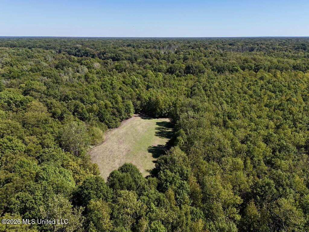 0079 Highway 16 Property Photo 12