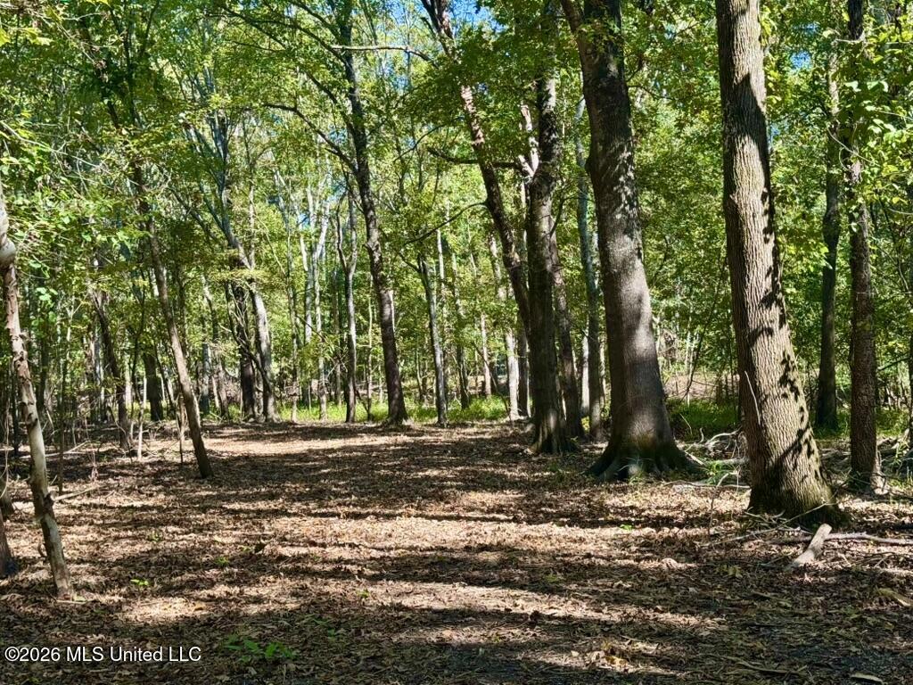 0079 Highway 16 Property Photo 20