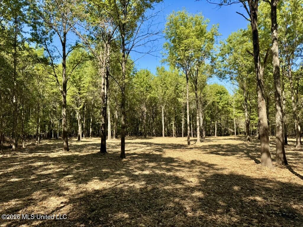 0079 Highway 16 Property Photo 22