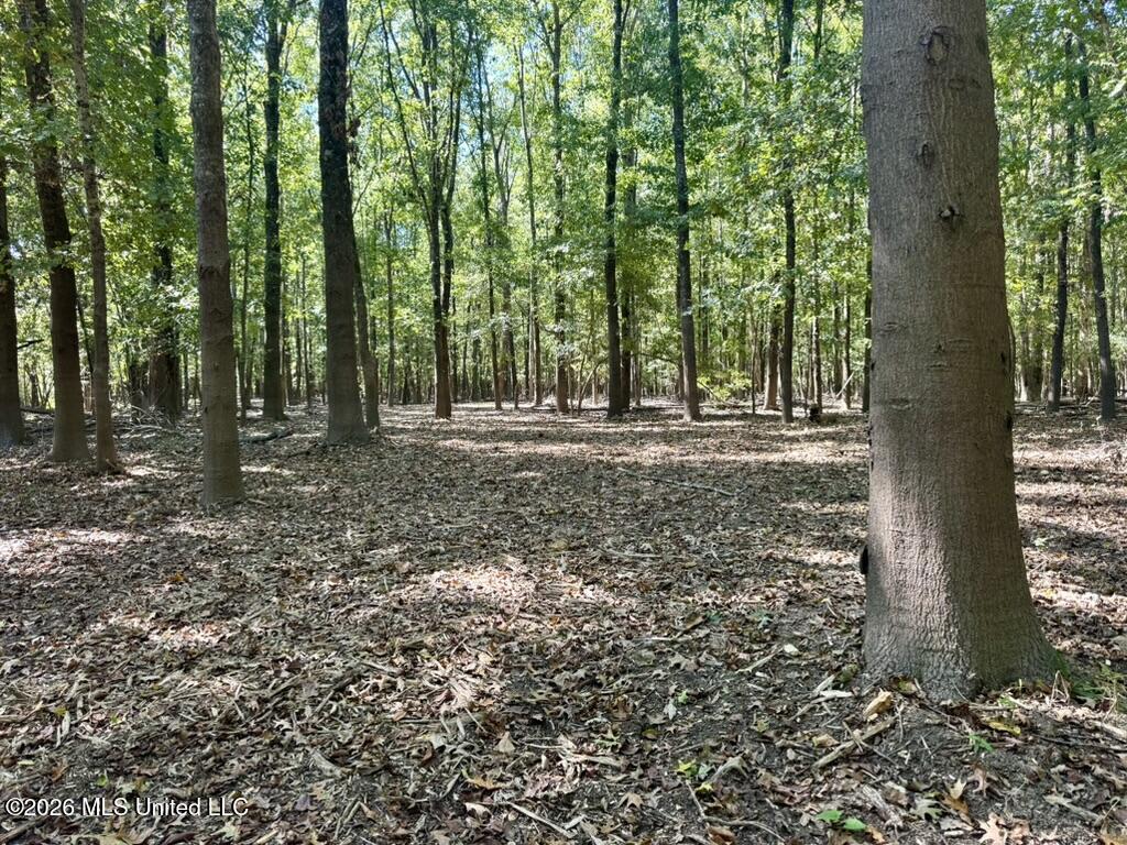 0079 Highway 16 Property Photo 23