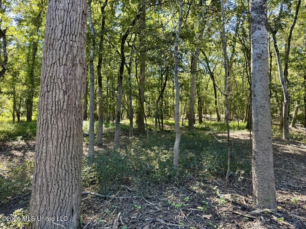 0079 Highway 16 Property Photo 29