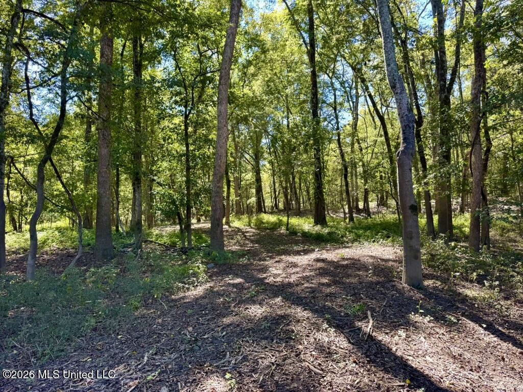 0079 Highway 16 Property Photo 31