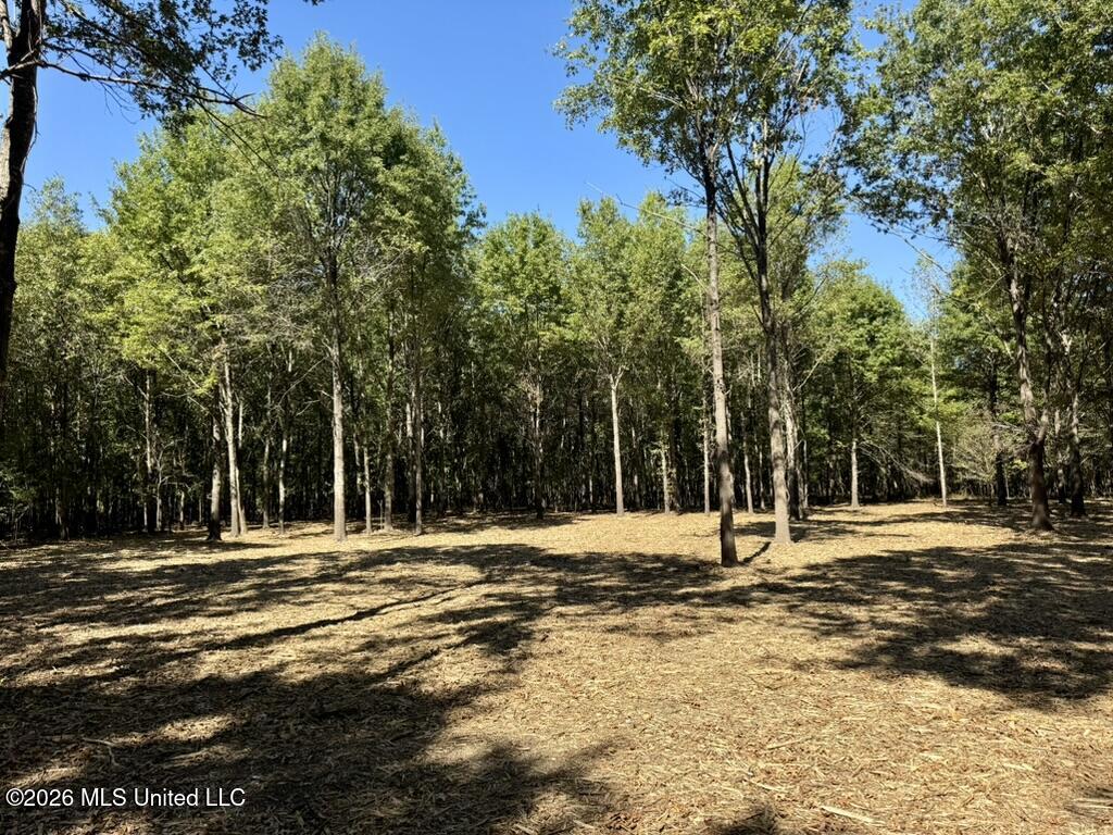 0079 Highway 16 Property Photo 32