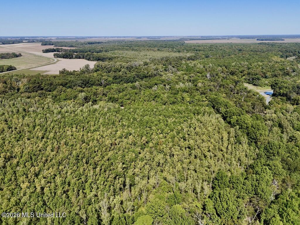 0079 Highway 16 Property Photo 33