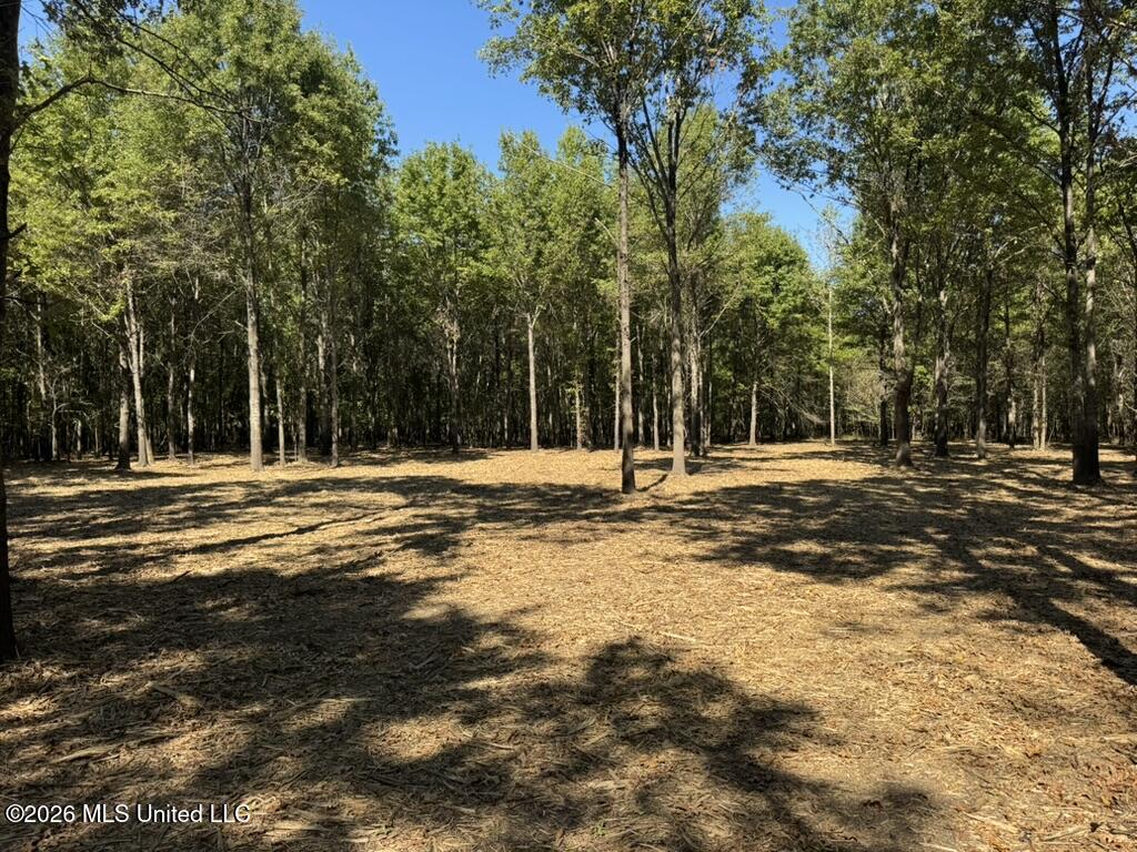 0079 Highway 16 Property Photo 34