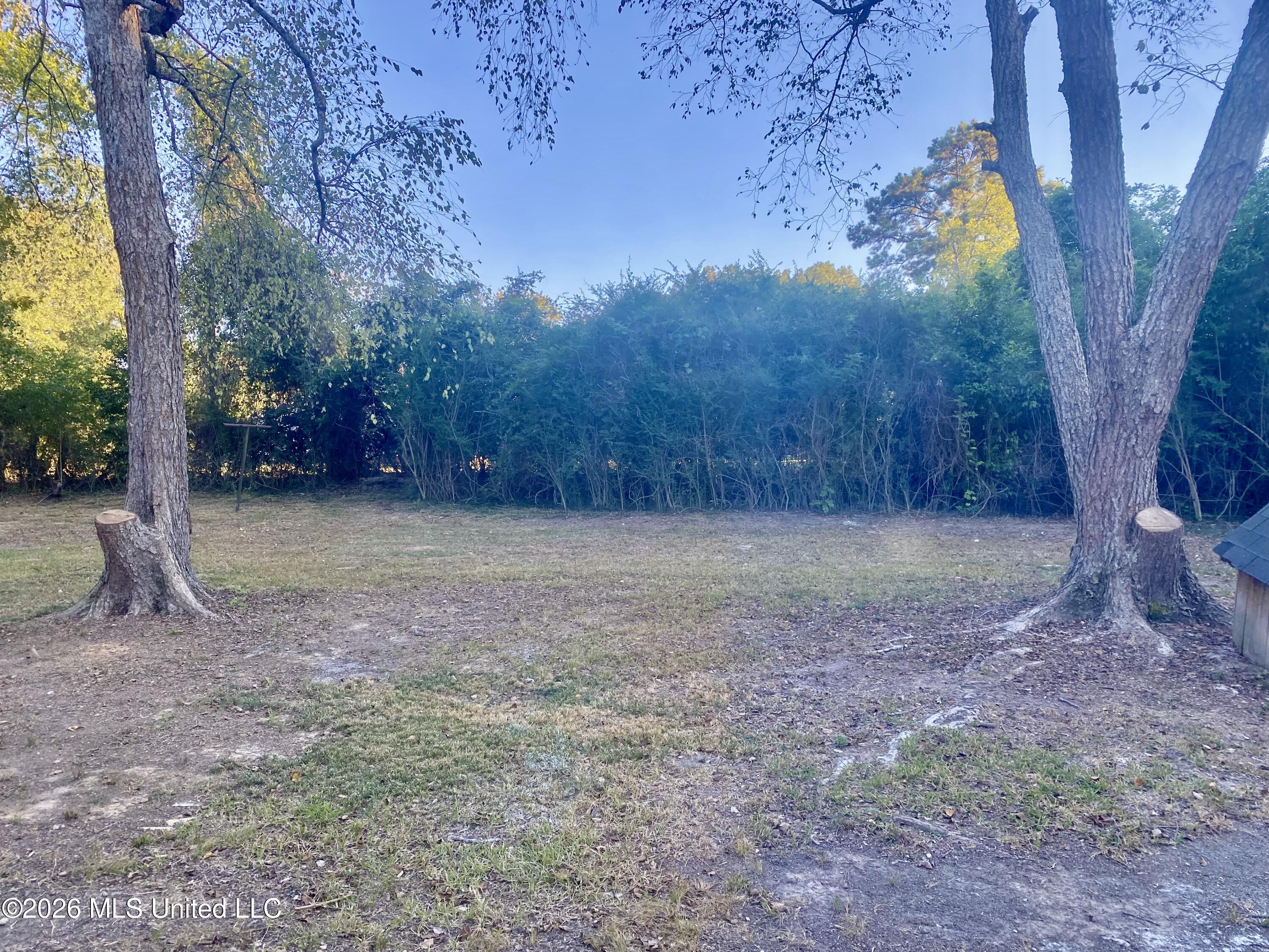1308 Trafton Avenue Property Photo 16