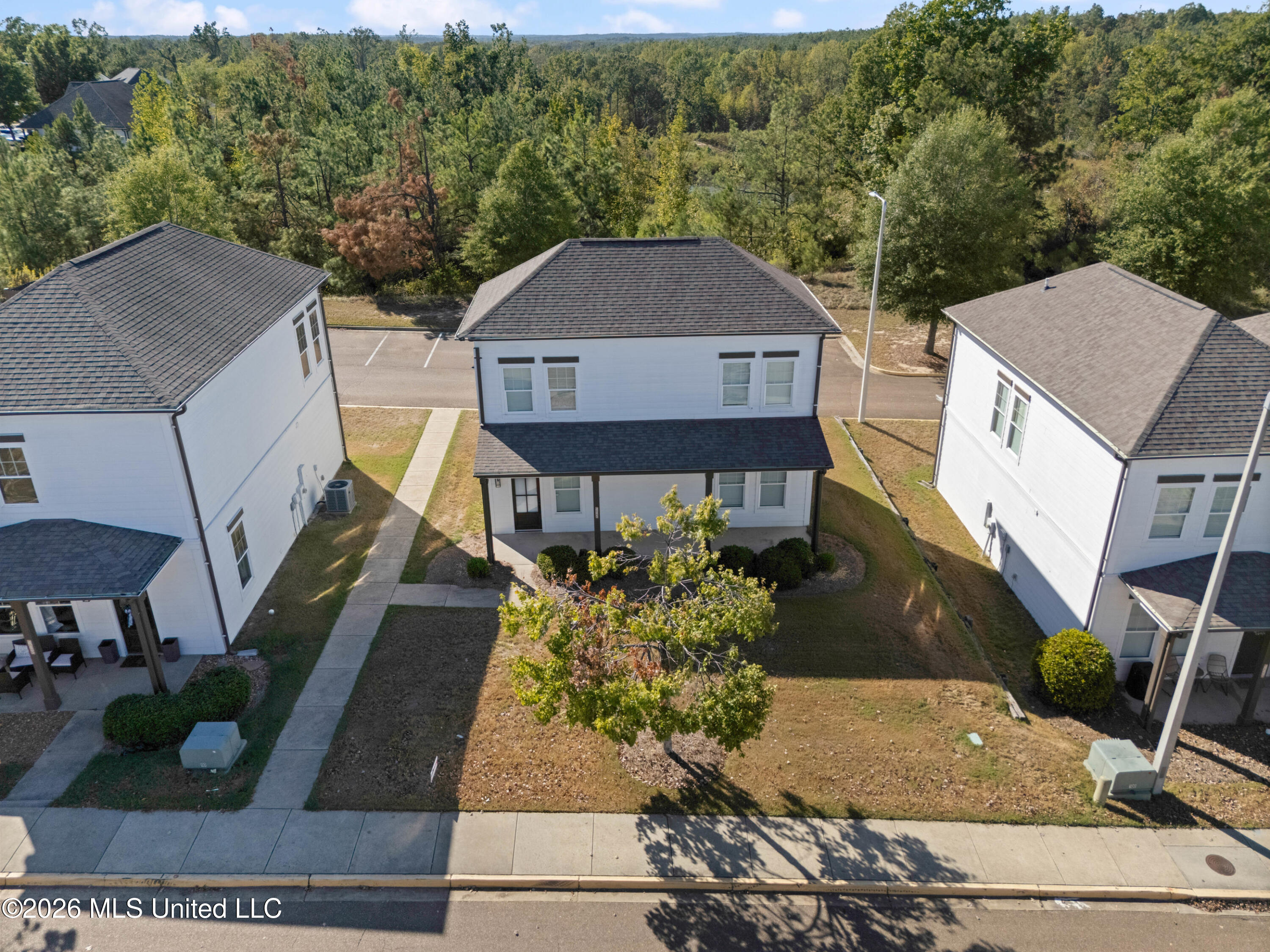 445 Olive Branch Way Property Photo 22