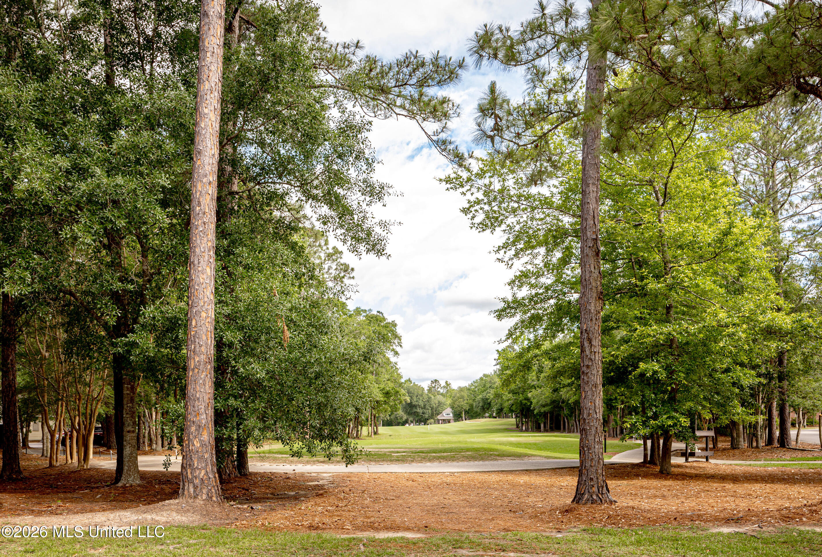 7035 Greenview Cove Property Photo 83