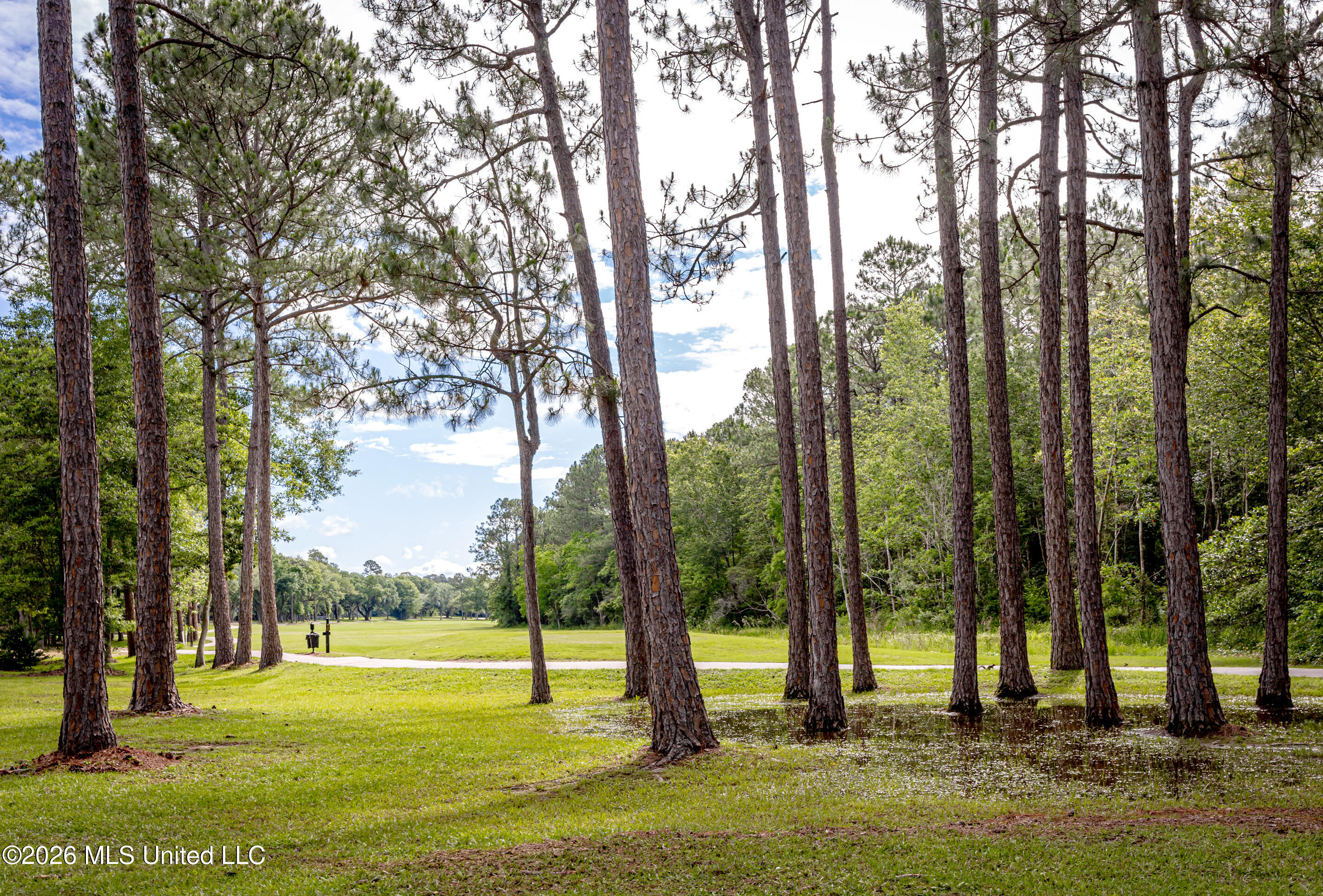 7035 Greenview Cove Property Photo 84