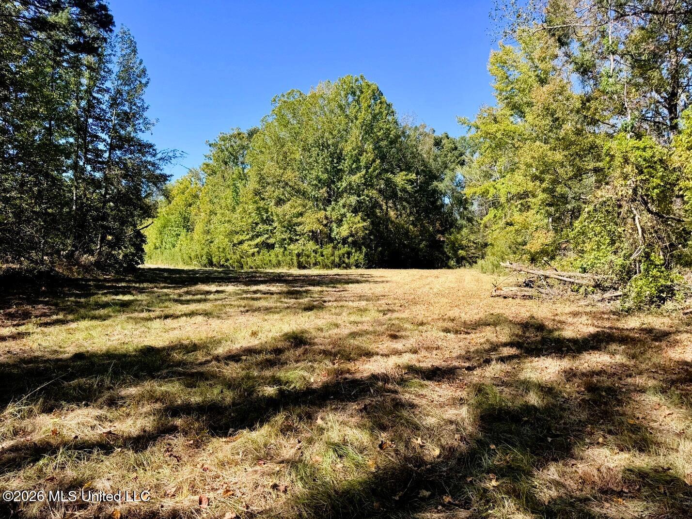 County Road 211 Property Photo 1