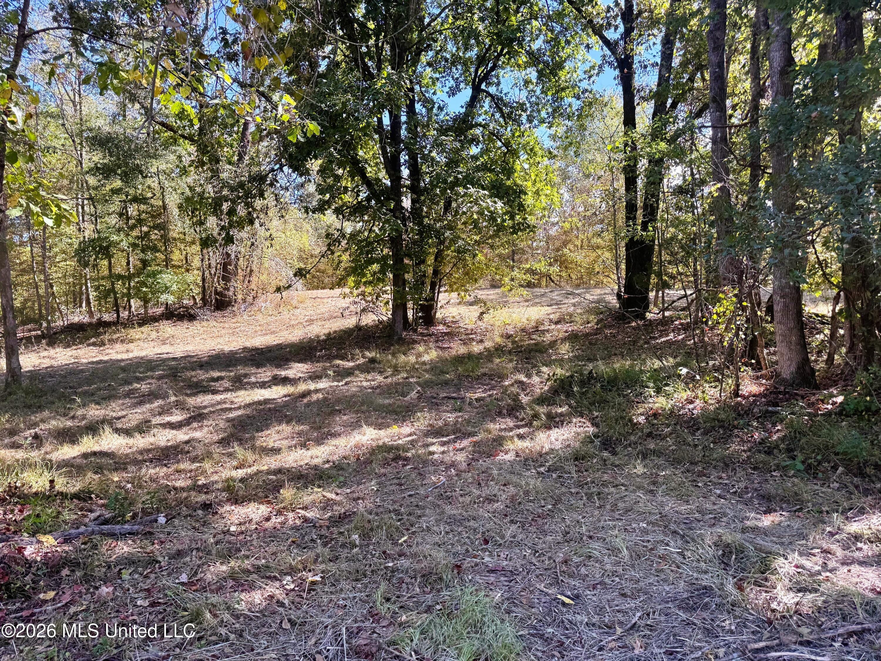 County Road 211 Property Photo 2