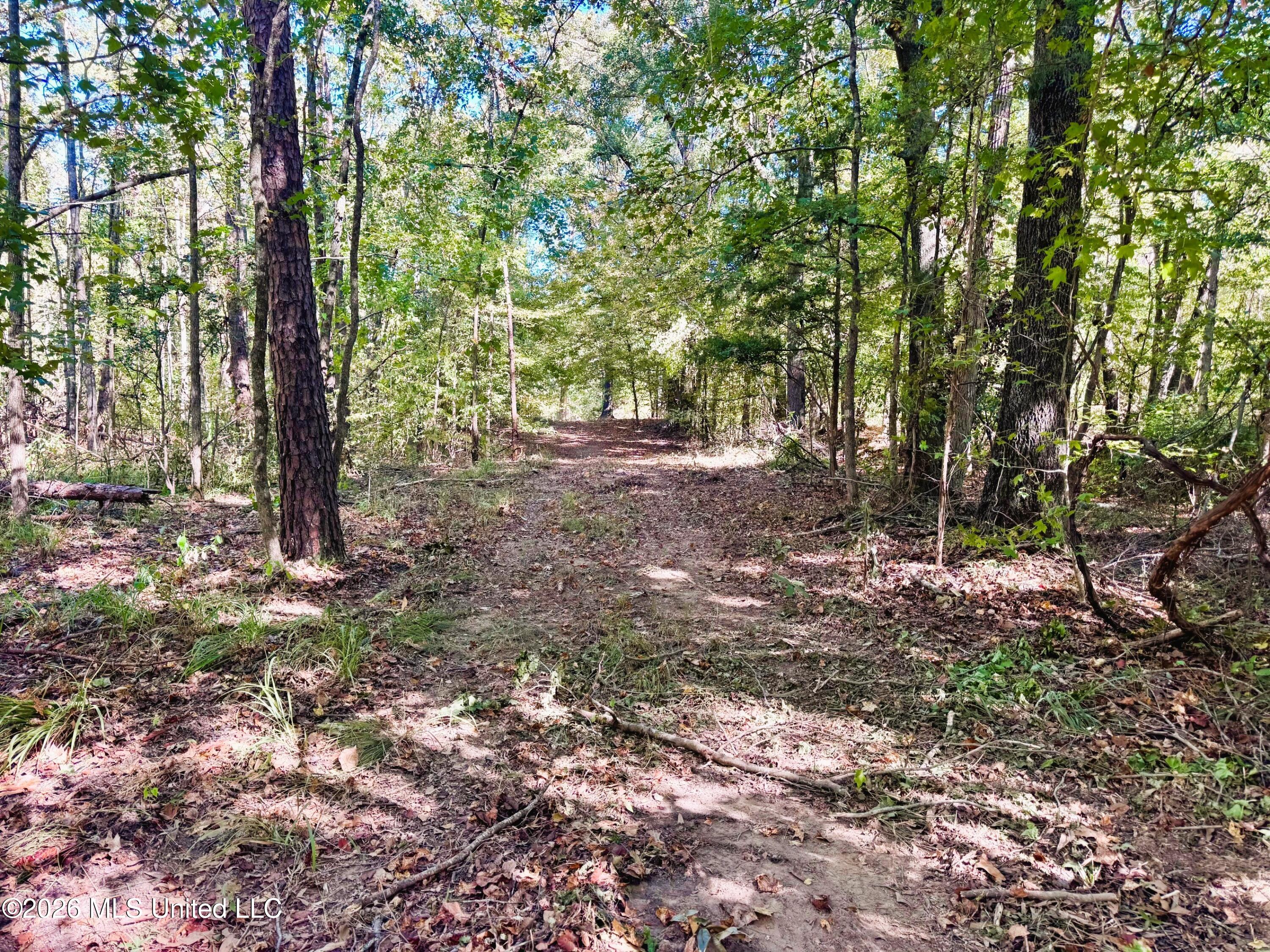 County Road 211 Property Photo 4