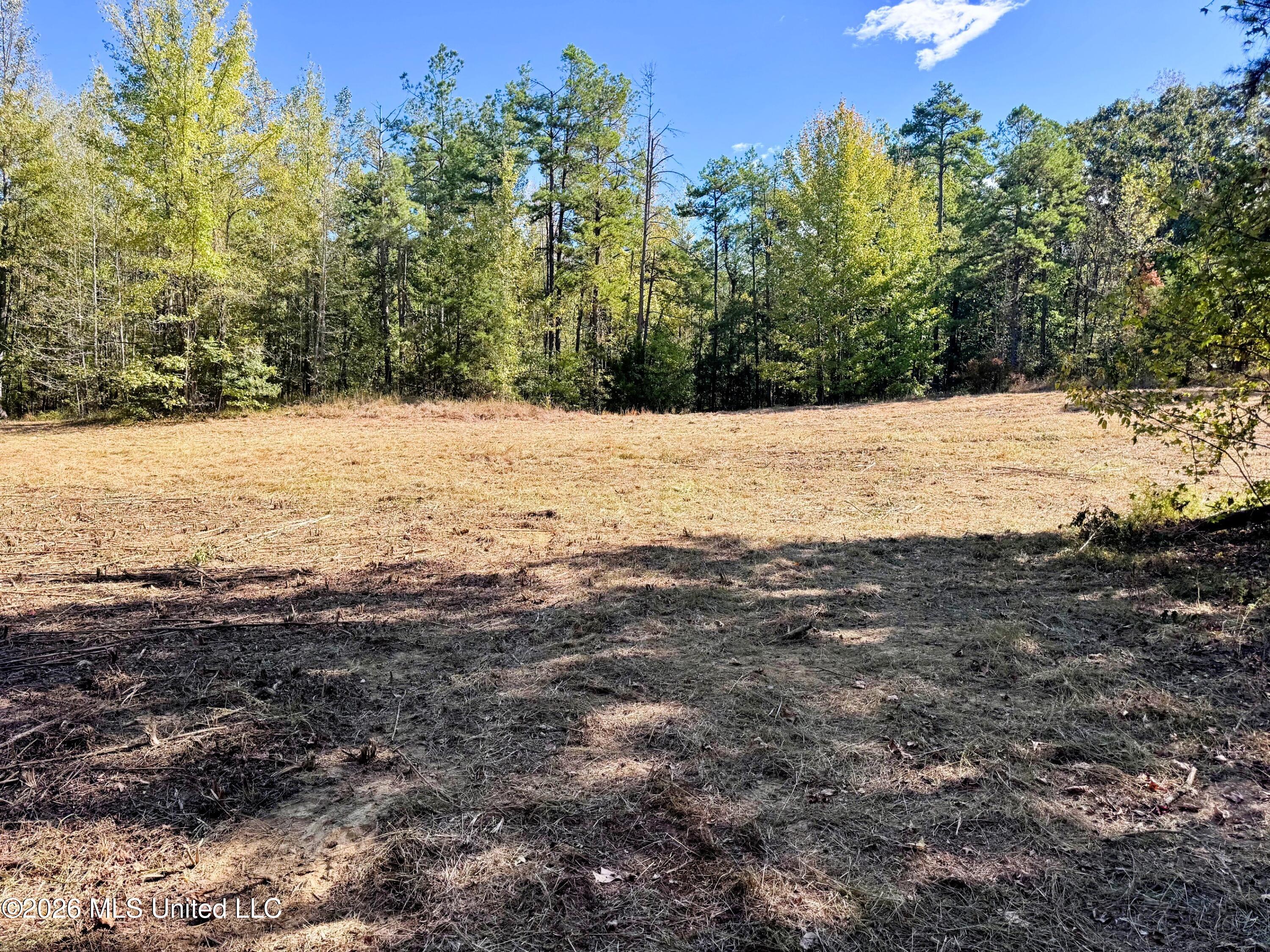 County Road 211 Property Photo 6