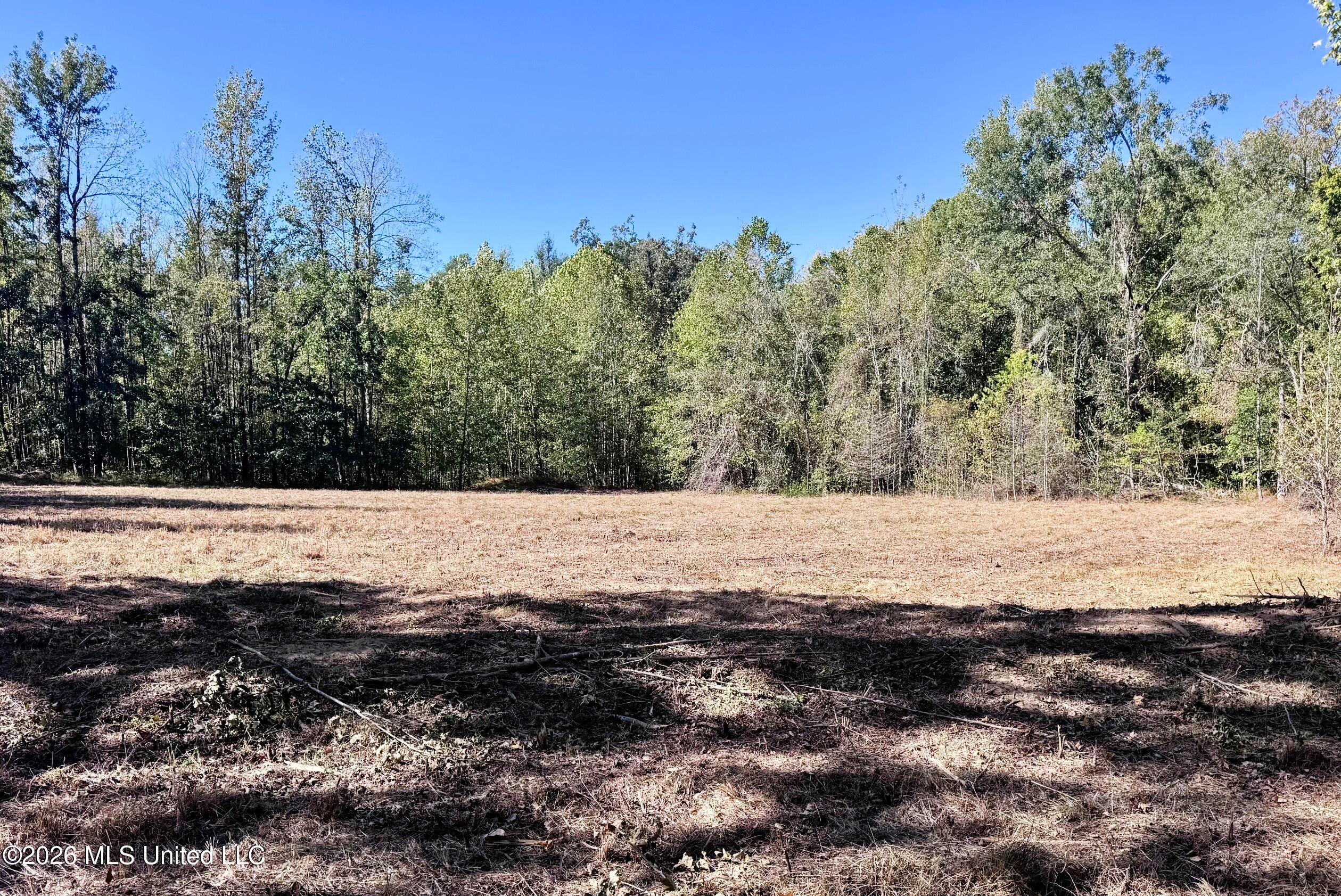 County Road 211 Property Photo 7