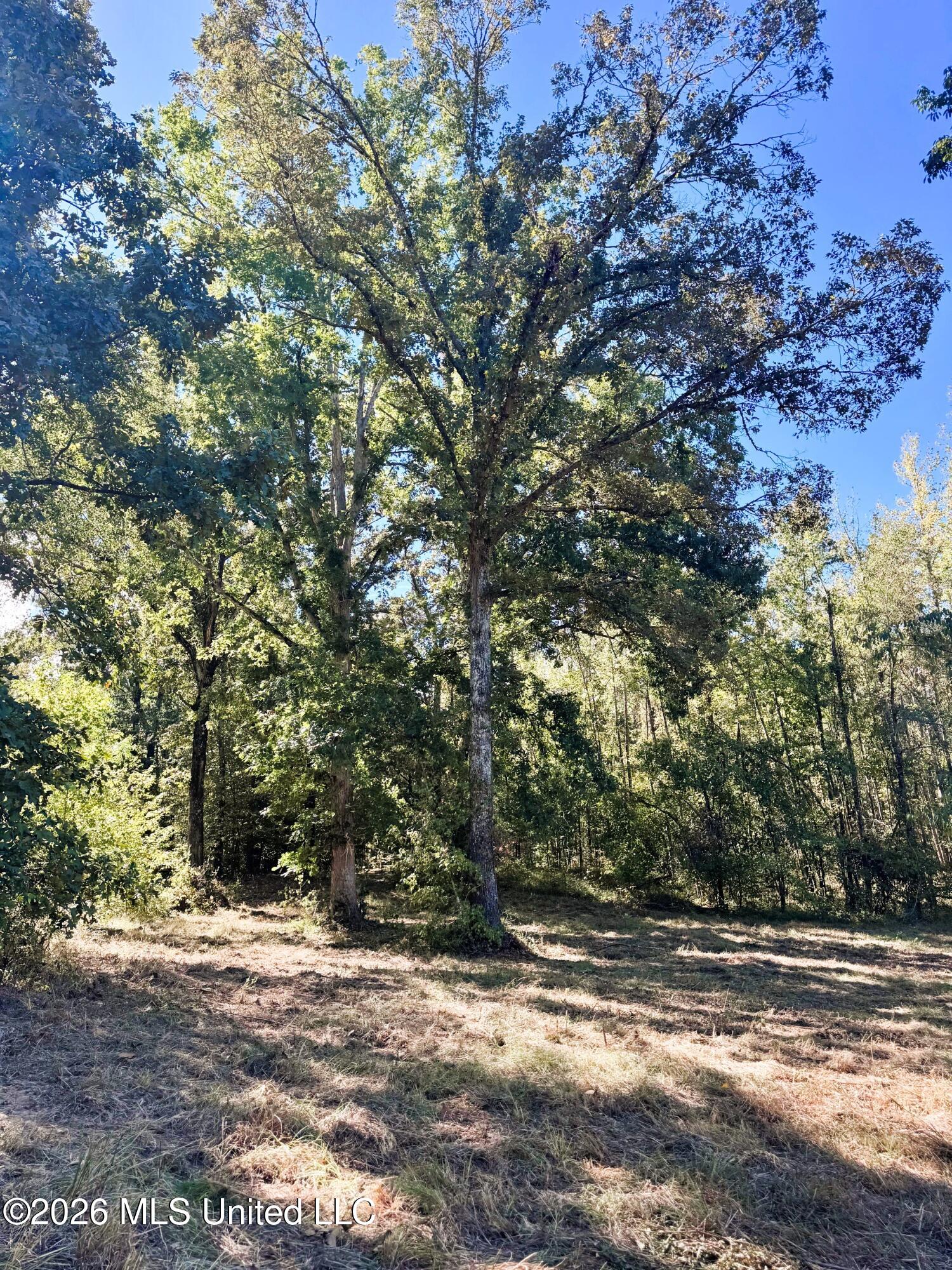 County Road 211 Property Photo 8