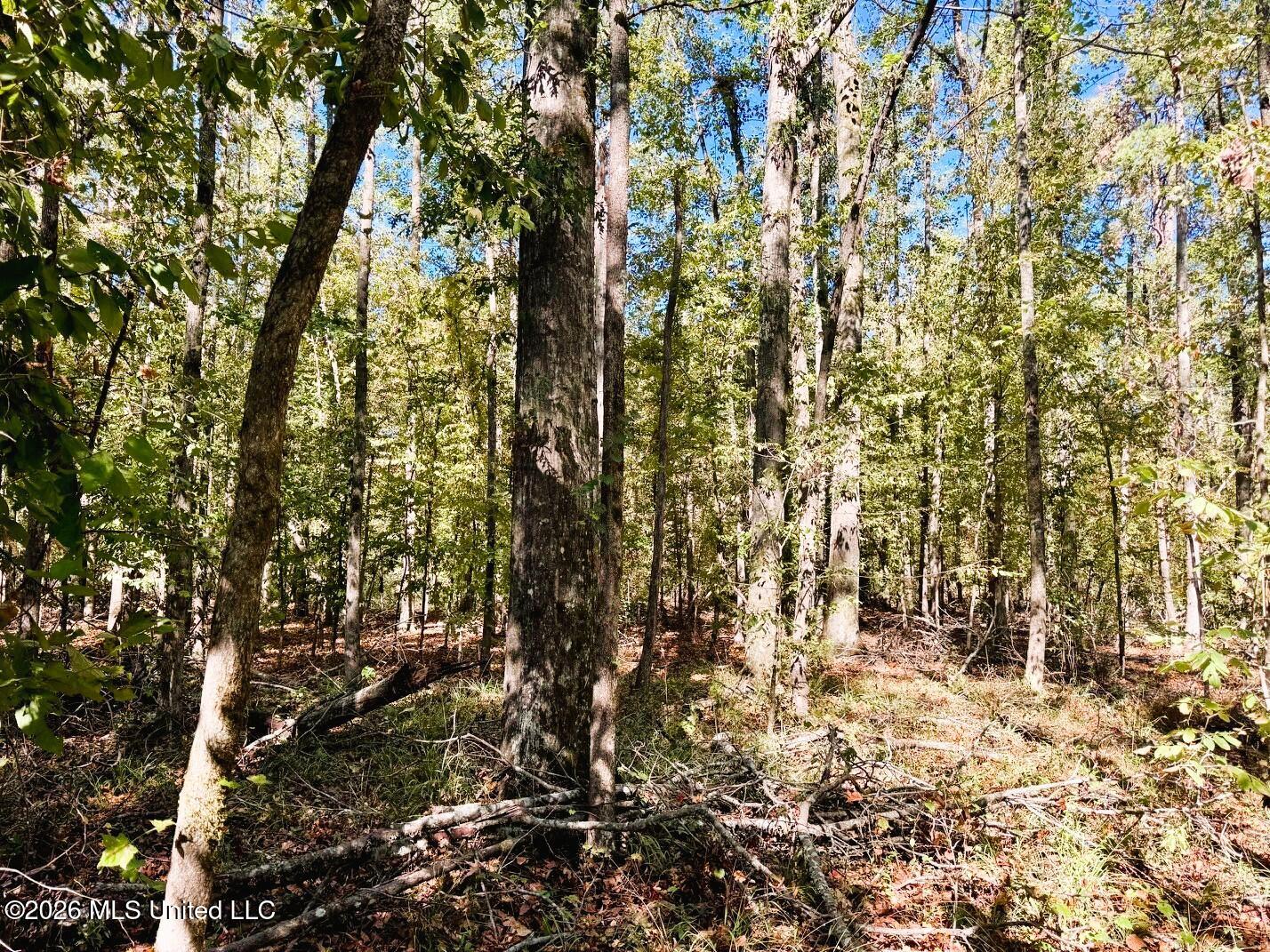 County Road 211 Property Photo 9